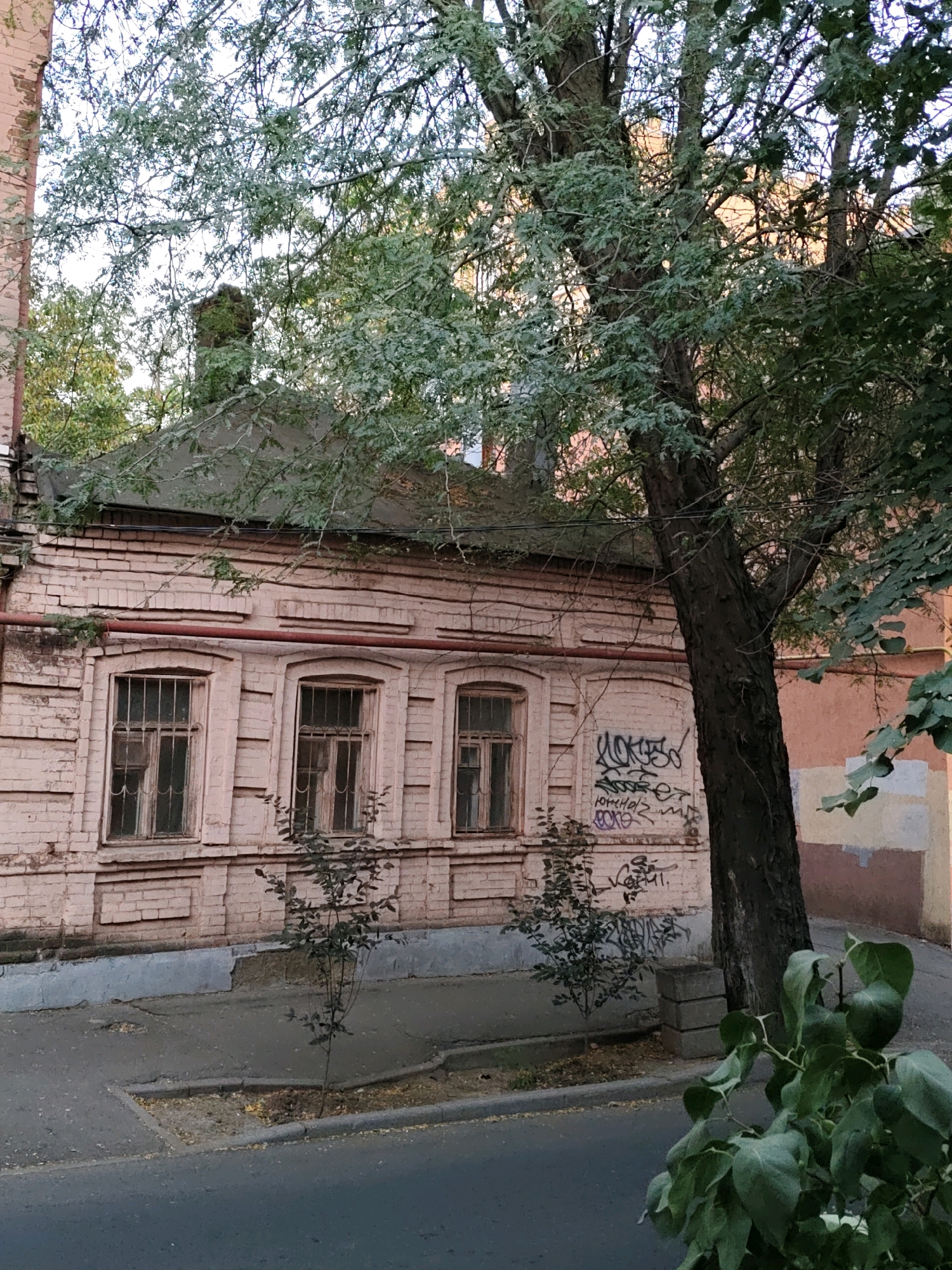 The image depicts an outdoor scene in Rostov-on-Don, Russia, featuring an old brick building with three windows and a tree in the foreground. The building is constructed of light pink bricks and has a sloped roof covered with a dark material. The windows are barred and appear weathered. Graffiti is visible on the wall of the building, near the rightmost window. A large tree with dark bark and green leaves dominates the right side of the frame, partially obscuring the building and the sky. The ground in front of the building is a paved sidewalk, which appears cracked and worn in places, and a street is visible in the lower portion of the image. Small bushes are planted in front of the building. The sky is overcast.