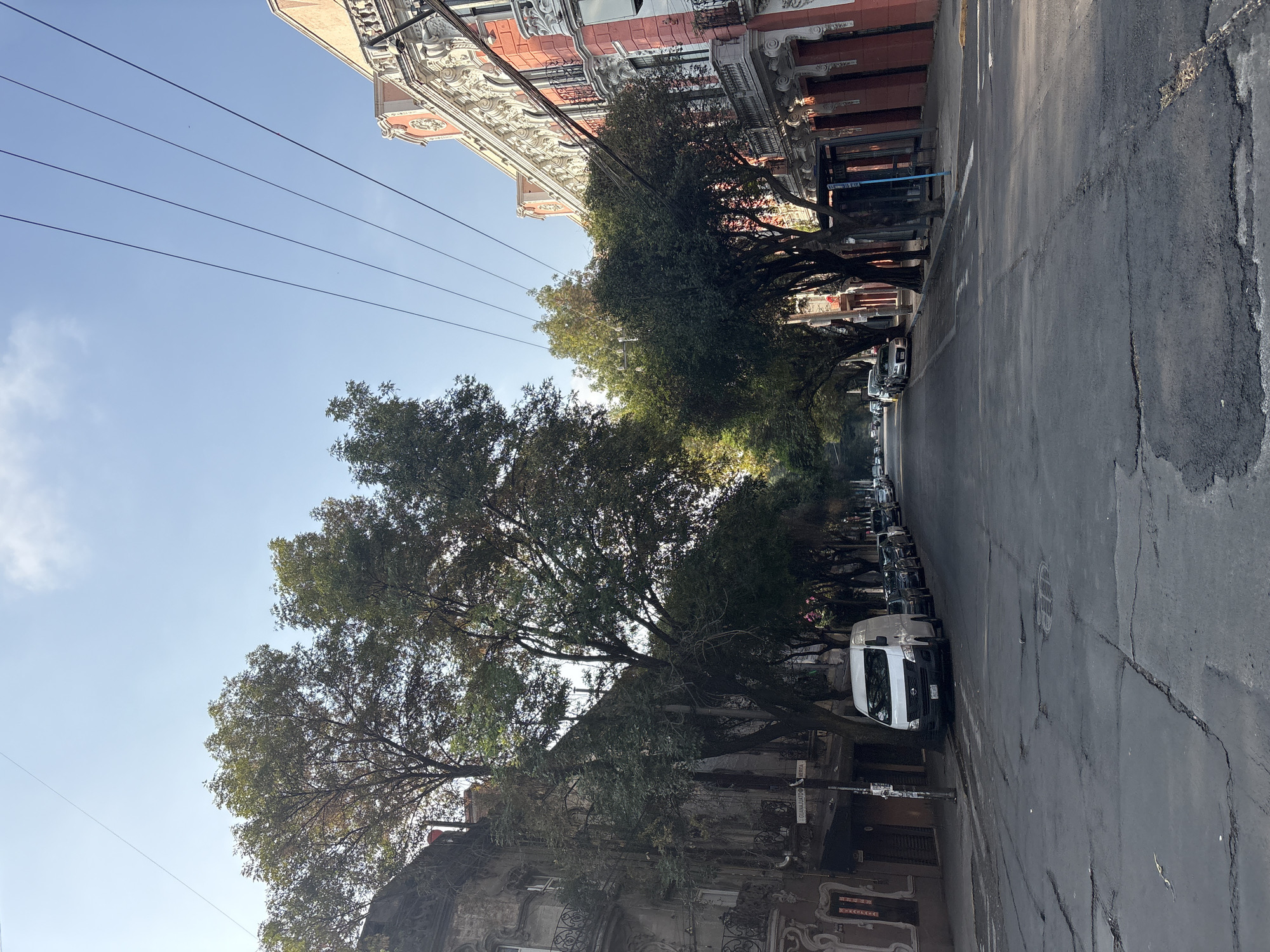 This image depicts a street scene in Mexico City, Mexico. The street is lined with mature trees that form a canopy overhead. Buildings with ornate facades are visible on either side of the street. There are power lines running overhead. Cars are parked along the side of the road. The street surface appears to be asphalt with some visible wear and tear. A street sign "Guanajuato" is visible on the left. The sky is clear and blue.