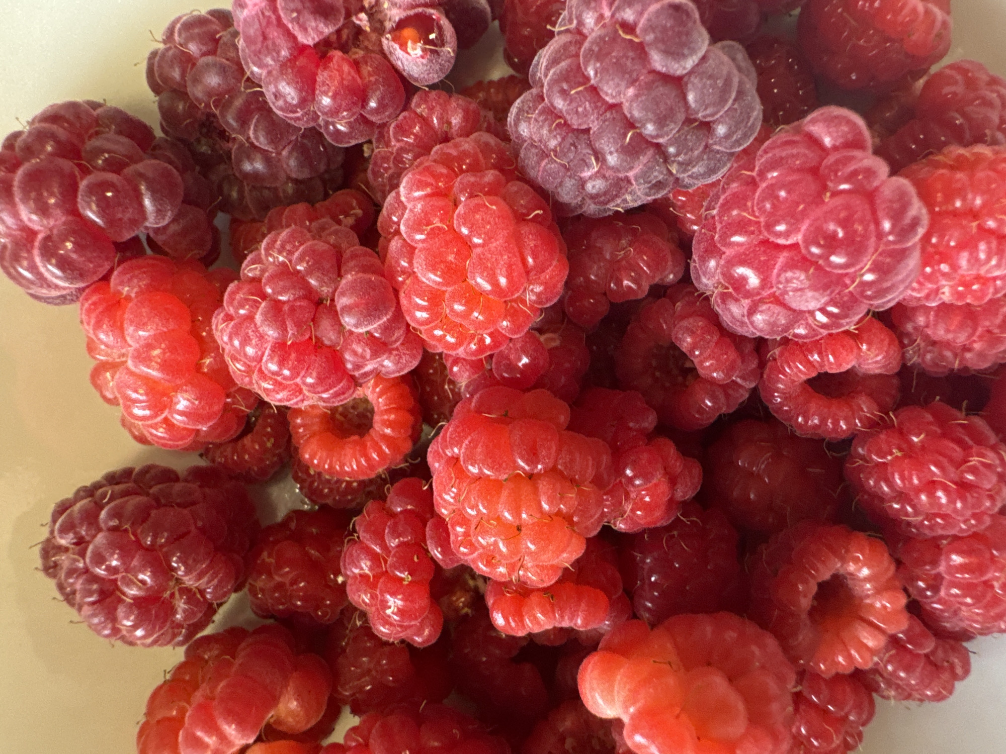 The image is a close-up, overhead shot of a bowl filled with ripe raspberries. The raspberries are a vibrant mix of red and deep pink hues, with some appearing slightly purplish. They are tightly packed together, creating a textured surface. Some raspberries show the characteristic segmented structure of drupelets, while others are more rounded. The lighting is bright, highlighting the glossy texture of the fruit. There are no people or any other objects visible in the frame, and the background appears to be a light-colored bowl. The image does not depict any scene or location in Chuguyevka, Russia; it is a still life of fruit.