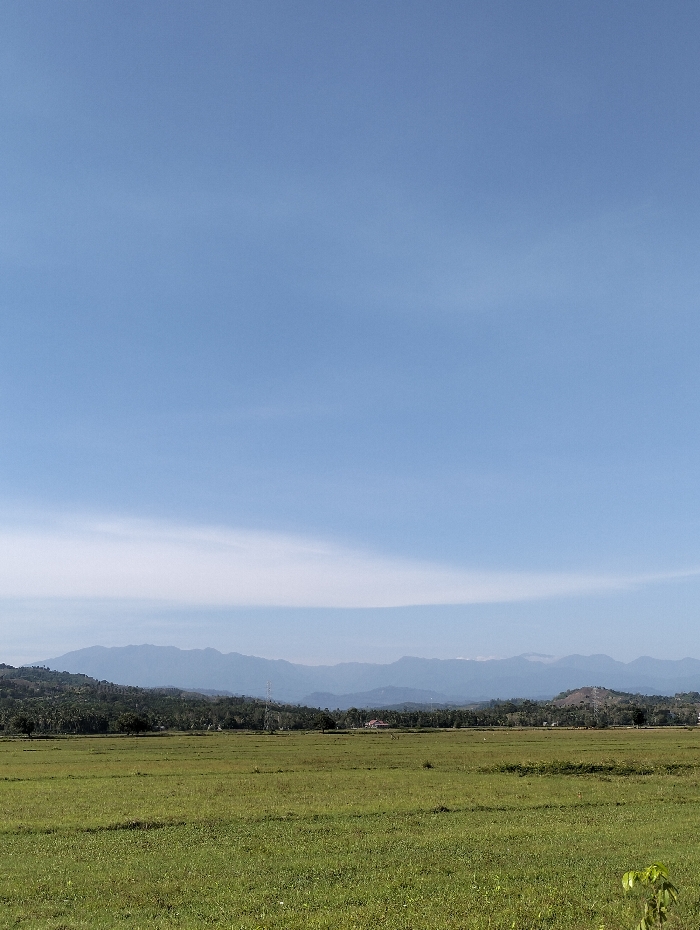 The image depicts an expansive rural landscape in Meunasahpulo, Indonesia, under clear daylight conditions. The foreground consists of a vast, flat, uniformly green field, indicative of agricultural land or grassland. A small, leafy green plant is partially visible in the bottom right corner of the frame. The midground features a dense horizontal band of lush green tropical foliage, including numerous palm trees, separating the field from the background elements. Within this tree line, a small structure with a reddish-brown roof is discernible. Several tall, grey metal lattice electricity pylons are positioned at intervals across the midground, rising above the treeline. The background is dominated by a distant range of mountains, exhibiting a hazy blue-grey coloration. The sky, occupying approximately 60% of the upper frame, is a clear, light blue with a horizontal band of thin, white stratiform clouds situated above the mountain range. No human figures, animals, or active interactions are observed in the scene.