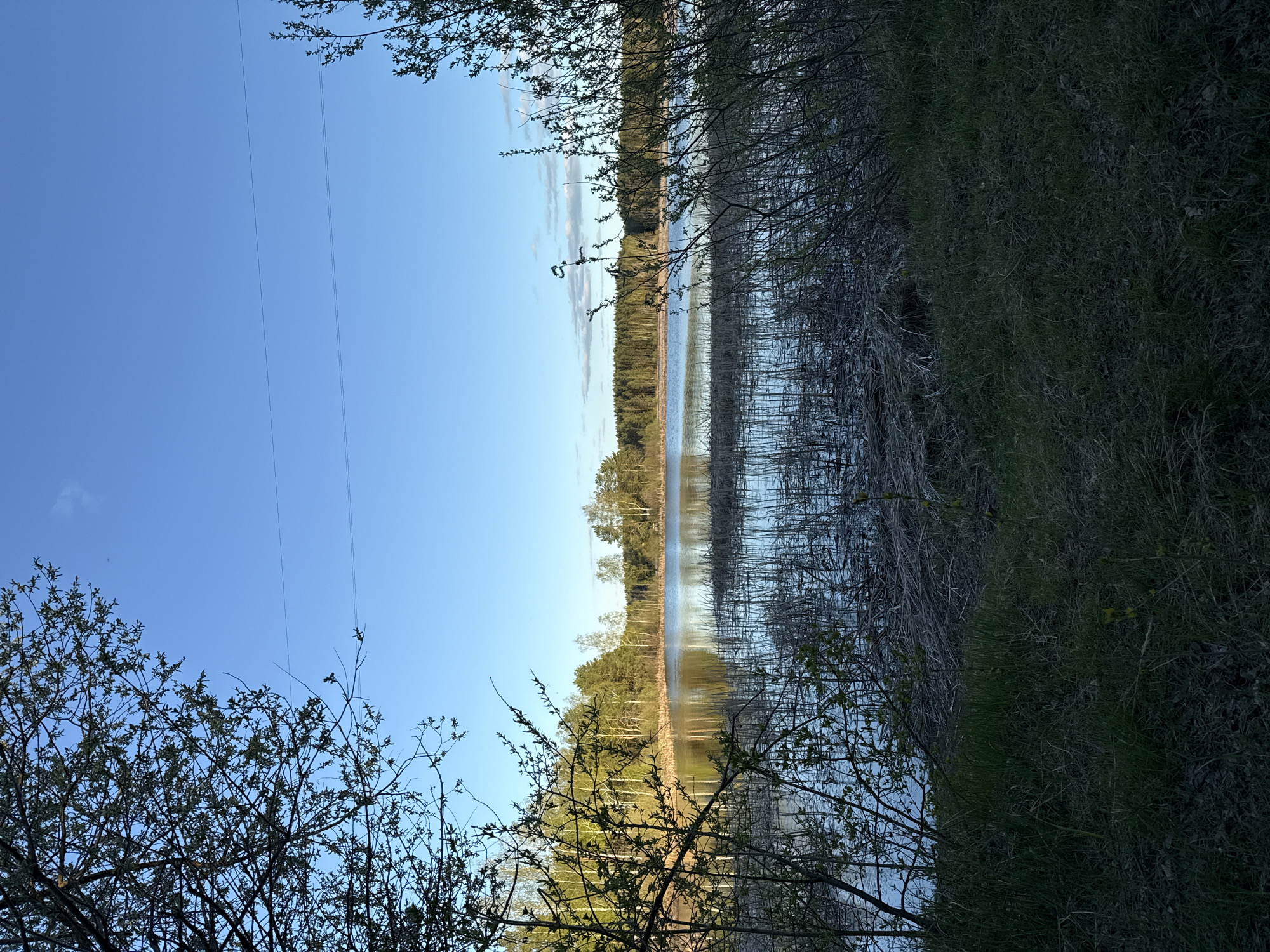 The image depicts a rural landscape. A body of water, likely a lake or wide river, is in the center. Vegetation lines the water's edge, including tall grasses and trees. The sky is clear blue with faint clouds. There are power lines that transect the upper left portion of the sky. There are trees visible in the foreground. The image is rotated, so the sky is on the left, and the vegetation on the right. The location is Chaikovsky, Russia. The image contains no people. There are no discernable objects beyond the natural elements. There is no indication of any specific actions taking place. The overall impression is of a peaceful, natural scene.