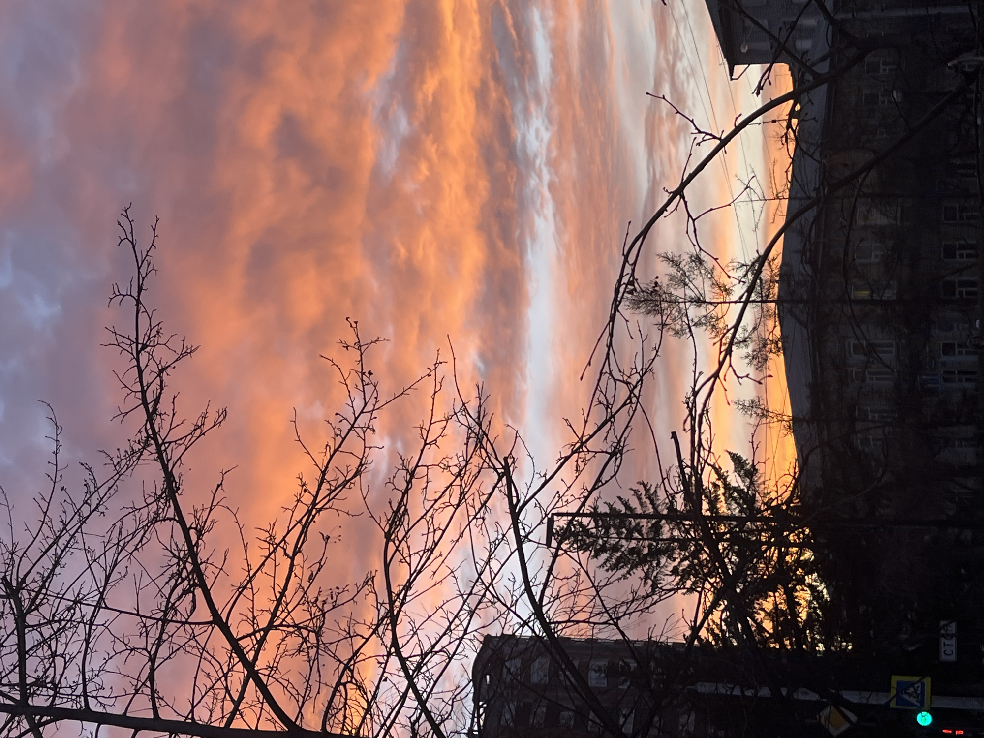 The image displays a vibrant, colorful sky dominated by warm hues, seen through a dense network of silhouetted bare tree branches and against parts of buildings. The photograph is oriented vertically, appearing to be rotated 90 degrees counter-clockwise from a standard landscape orientation.
The sky, occupying the majority of the frame, showcases a striking sunset or sunrise. On the left side of the image, the sky transitions from soft purples and blues to vivid oranges, pinks, and reds towards the right. Long, streaky clouds, illuminated by the unseen sun, create a dynamic and dramatic backdrop.
In the foreground, a multitude of intricate, dark, bare tree branches crisscross the frame, creating a strong silhouette against the bright sky. These branches, devoid of leaves, suggest a winter or late autumn season.
Towards the right side and bottom of the image, parts of dark, silhouetted buildings are visible. These multi-story structures appear to have windows, indicating an urban or suburban setting.
Notable details include a green traffic light and several road signs near the bottom right corner. One sign is yellow and diamond-shaped, while another is blue and rectangular. A vertical sign post also bears the partial text "CTO". The overall impression is one of a beautiful, fiery sky at dusk or dawn, viewed from an urban environment, with the bare trees framing the natural spectacle.