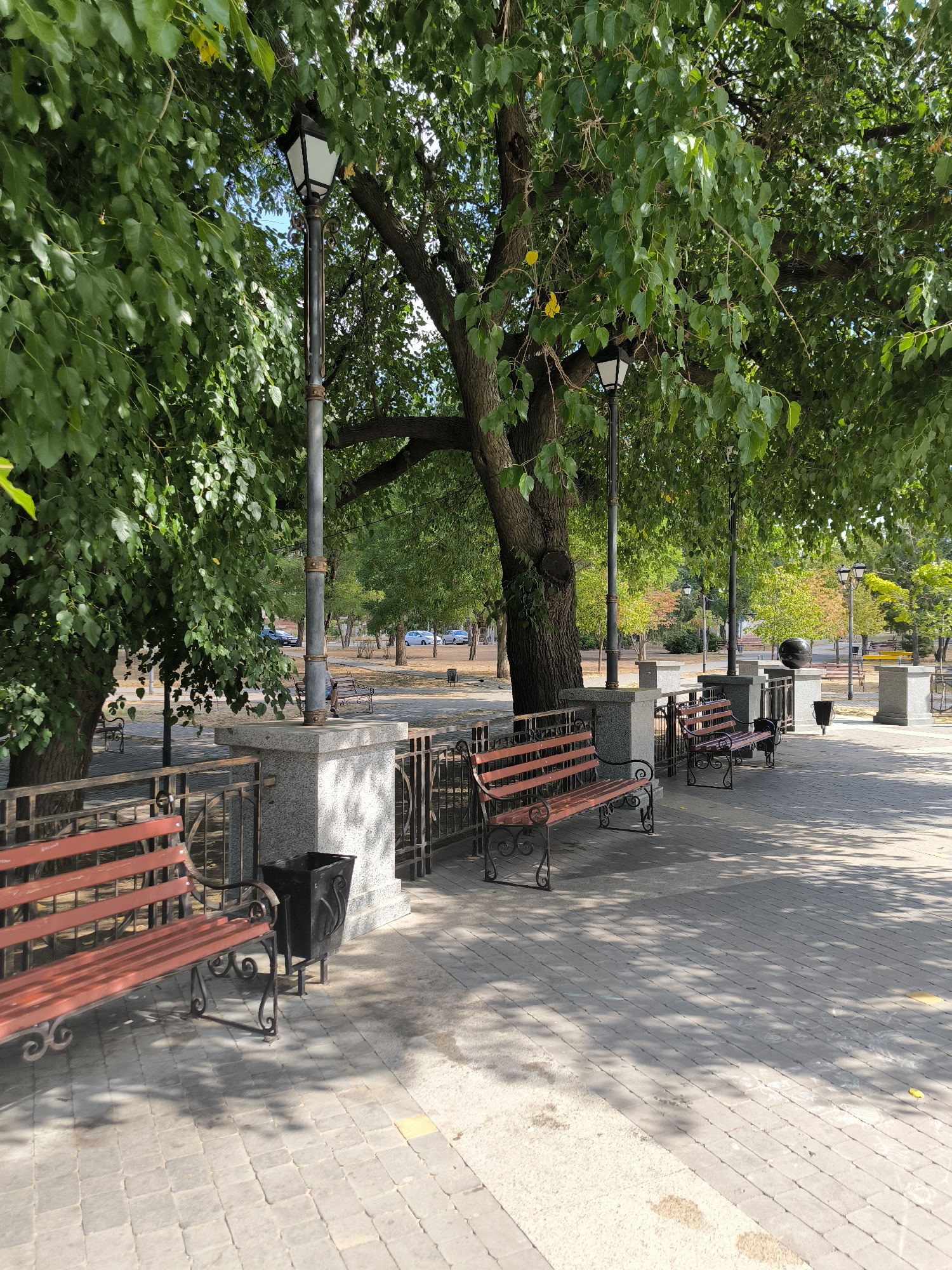 A park scene is depicted in this image, featuring several benches, lampposts, and trees. The park appears to be a public space with paved walkways and a stone wall. In the background, cars are visible, suggesting the park is located in an urban or semi-urban area. The image may be from Mykolaiv, Ukraine, a city known for its parks and green spaces.