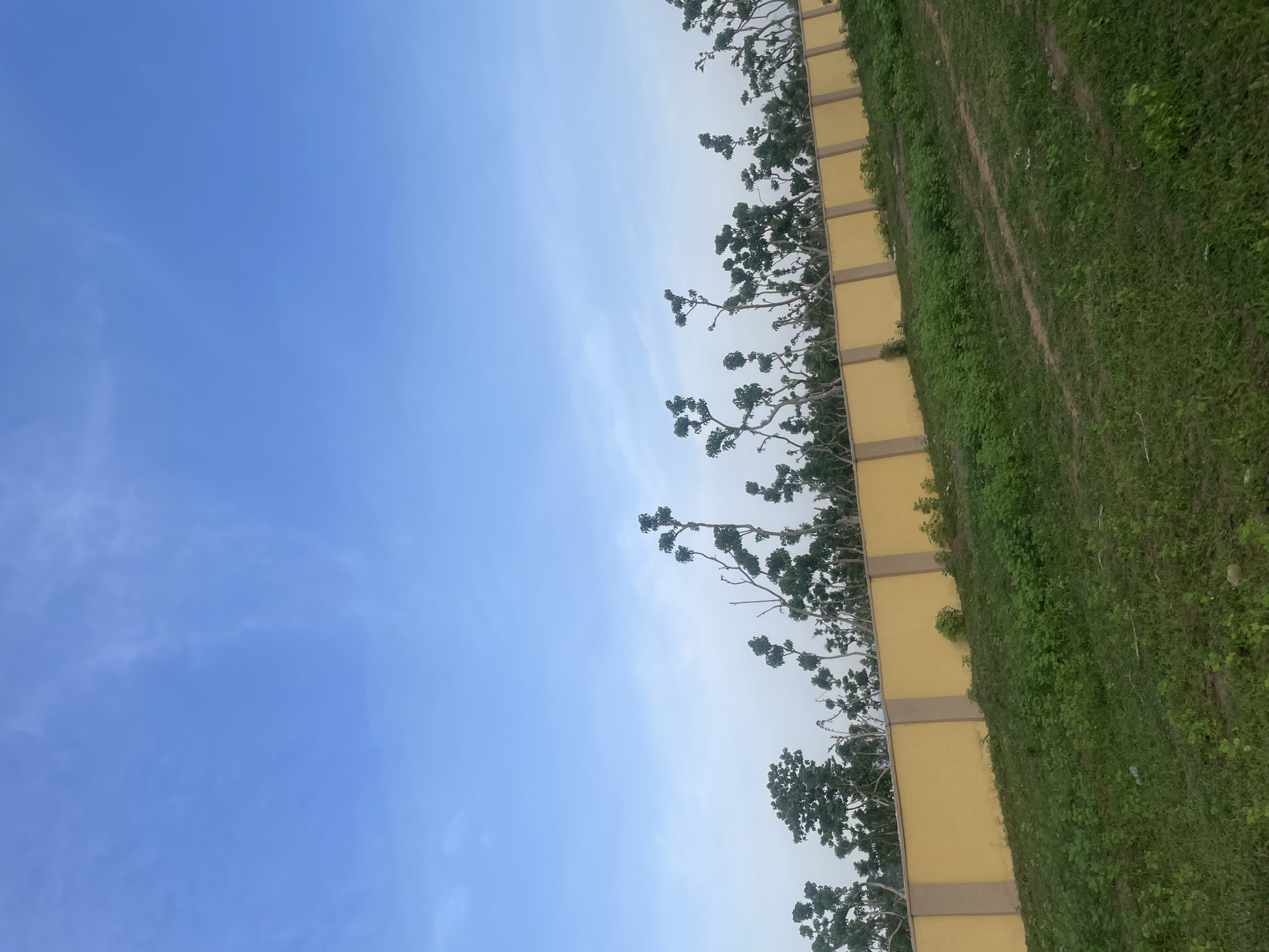 The image depicts an outdoor scene with a clear blue sky overhead, featuring wispy white clouds. A bright yellow wall, punctuated by beige vertical posts, runs horizontally across the middle of the frame, serving as a boundary. Behind the wall, a dense line of trees with sparse foliage and branching structures is visible. In the foreground, a sloping grassy area covers the lower portion of the image, with some visible tire tracks indicating recent activity. The overall impression is one of an undeveloped or natural area bordering a constructed boundary. The scene is located in Jauro Yinu, Nigeria.