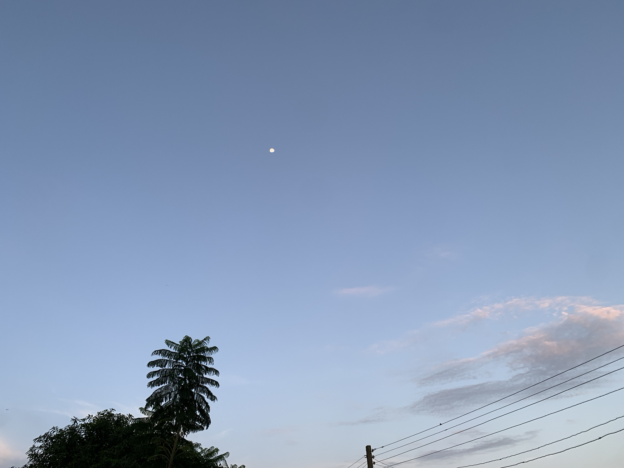 The image depicts a clear sky with the moon visible as a small, bright dot in the upper center. The sky transitions from a pale blue at the top to a lighter hue near the horizon. In the lower part of the image, the silhouette of a tall, slender tree with feathery foliage stands prominently on the left, partially obscuring a bushier tree below it. On the right, power lines stretch diagonally across the frame, supported by a wooden pole. wispy clouds tinged with pink are present in the upper right quadrant, suggesting either dawn or dusk. The scene appears to be an outdoor environment, possibly a residential area in Kuru Karama, Nigeria, given the presence of utility infrastructure and vegetation. No people or specific actions are discernible.