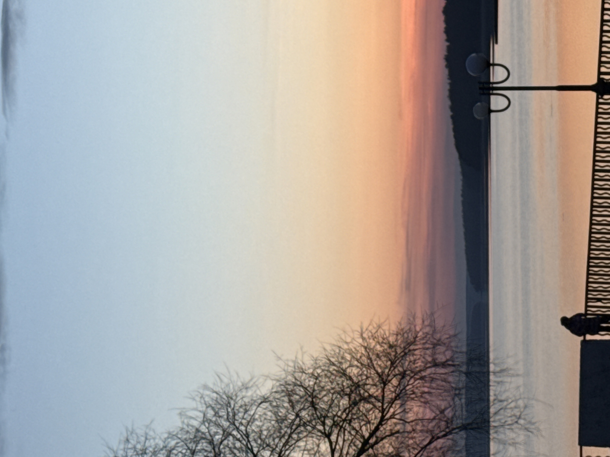 The image captures a tranquil sunrise or sunset scene over a large body of water in Votkinsk, Russia. The sky displays a soft color gradient, transitioning from cool pale blue on the left to warm oranges and soft pinks on the right. This diffuse light is gently reflected on the smooth surface of the water, which appears calm.
In the foreground on the left, the intricate silhouette of a bare-branched tree is visible, its branches reaching towards the sky. On the right side of the image, an embankment or pier is delineated by a dark, decorative metal railing. A tall lamppost with two spherical lights stands prominently on the embankment. Two silhouetted figures are visible on the embankment near the lamppost, suggesting a couple or individuals enjoying a stroll or the view. Across the expansive body of water, a dark, undulating treeline or distant landmass forms the horizon.
The setting is an outdoor waterfront area, possibly a promenade, during clear weather. The soft, ambient light and calm water contribute to a peaceful and contemplative atmosphere. There is no visible text in the image.
