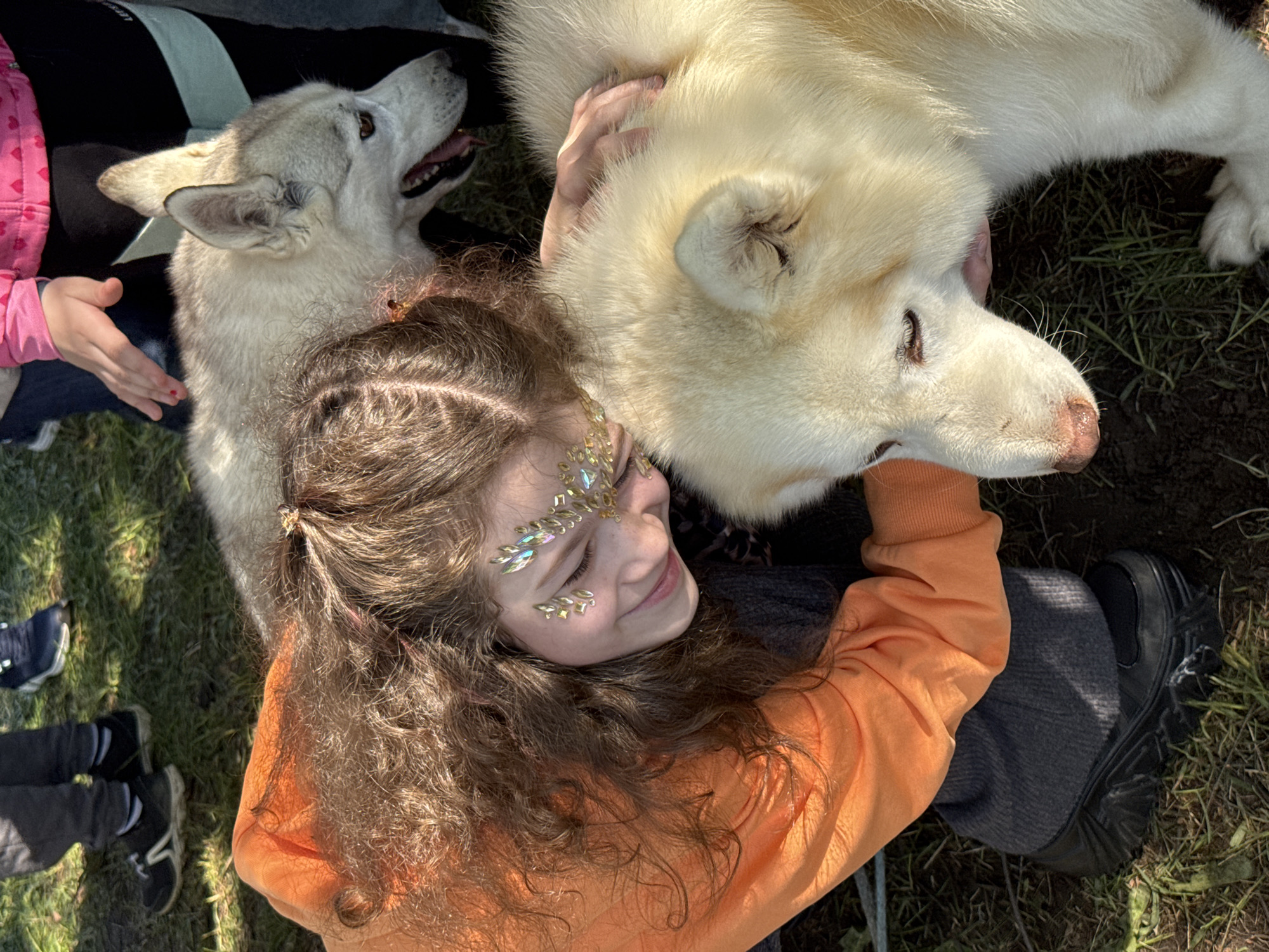 A young girl lies on the ground in an outdoor setting. She wears an orange sweatshirt, dark pants, and black shoes. Glittery facial decorations adorn her forehead and cheek. Two large, white husky-type dogs are near her. One dog is positioned to the left, partially obscured by the girl's head and the other dog. The second dog rests its head on the girl's lap, and her hand is touching the dog's head. The ground is covered in grass, some of which appears dry or partially bare. Other people's legs and feet are visible in the peripheral parts of the frame. The location is likely outdoors, potentially a park or similar green space. Vsevolozhsk, Russia, is not discernible from the image and thus, the location cannot be confirmed.