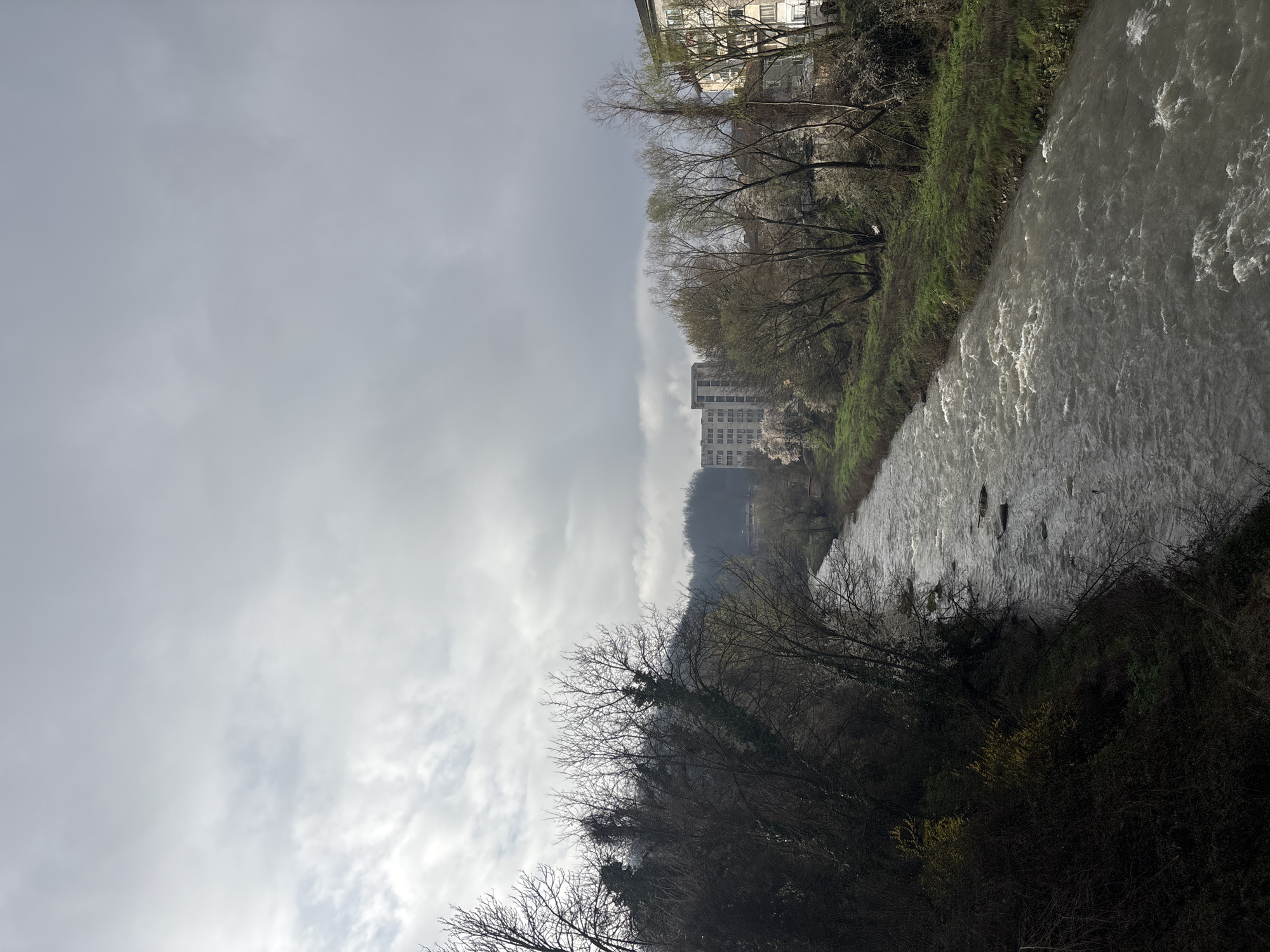 The image shows a river flowing through a landscape, possibly in Troyan, Bulgaria. The river is moderately wide and appears to have strong currents. The water is turbid. The river is bordered by vegetation along both banks. A few buildings are visible on one bank, and there's a hillside in the background with some structures. The sky is overcast, suggesting a cloudy day. There are bare trees or trees with very sparse foliage on both sides of the river.