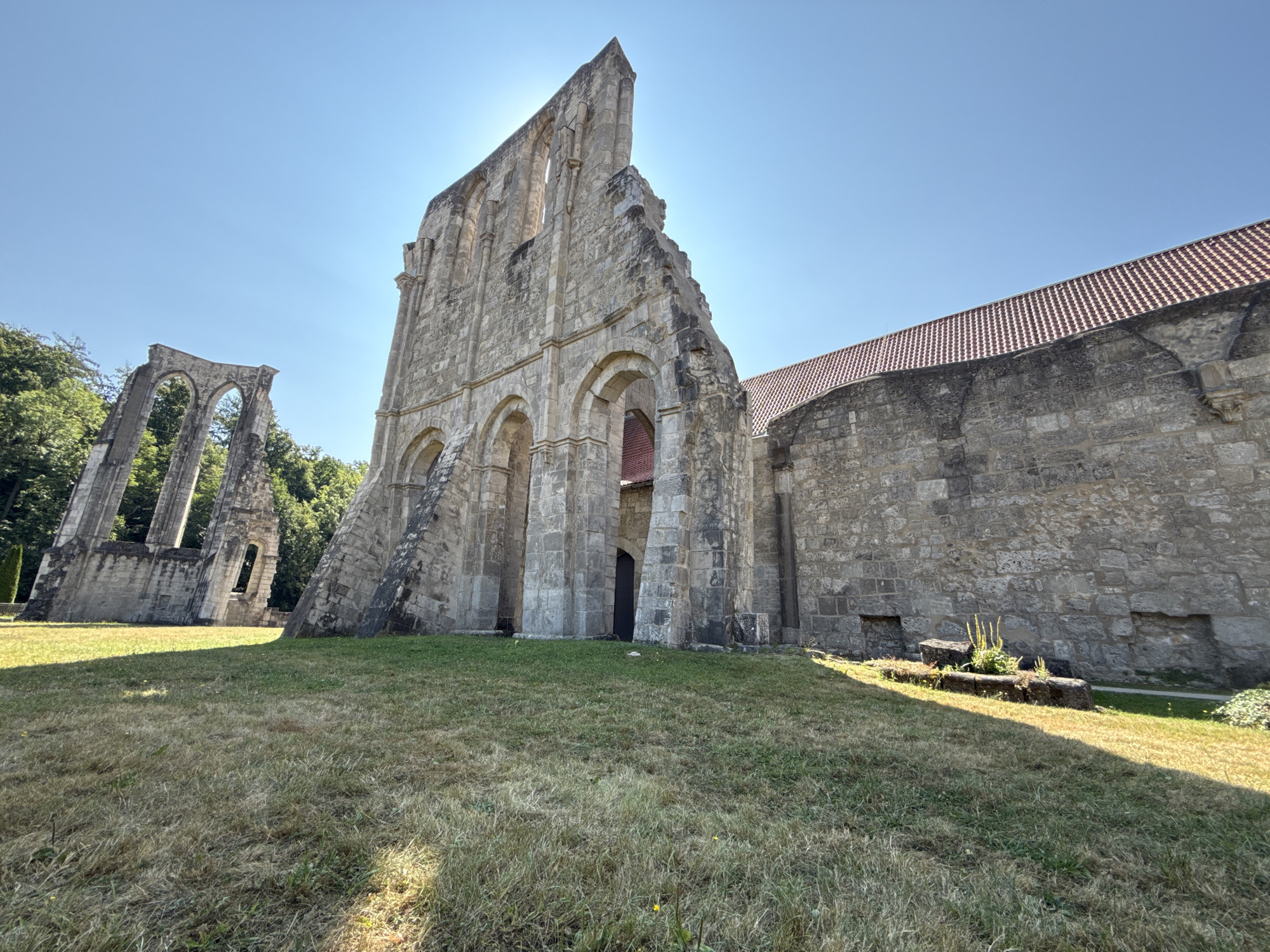 The image depicts the ruins of Walkenried Abbey, a former Cistercian monastery located in Walkenried, Germany. The main subject is the partially preserved Gothic architecture, characterized by massive stone walls, arched windows, and crumbling facades. The ruins are bathed in bright sunlight, casting distinct shadows on the dry, grassy ground. In the background, a portion of the abbey's roof, covered in red tiles, is visible, suggesting that some parts of the structure have been restored or remain intact. The sky is a clear, vibrant blue, indicative of a sunny day. The overall scene conveys a sense of historical grandeur and decay, with nature slowly reclaiming the ancient stones.