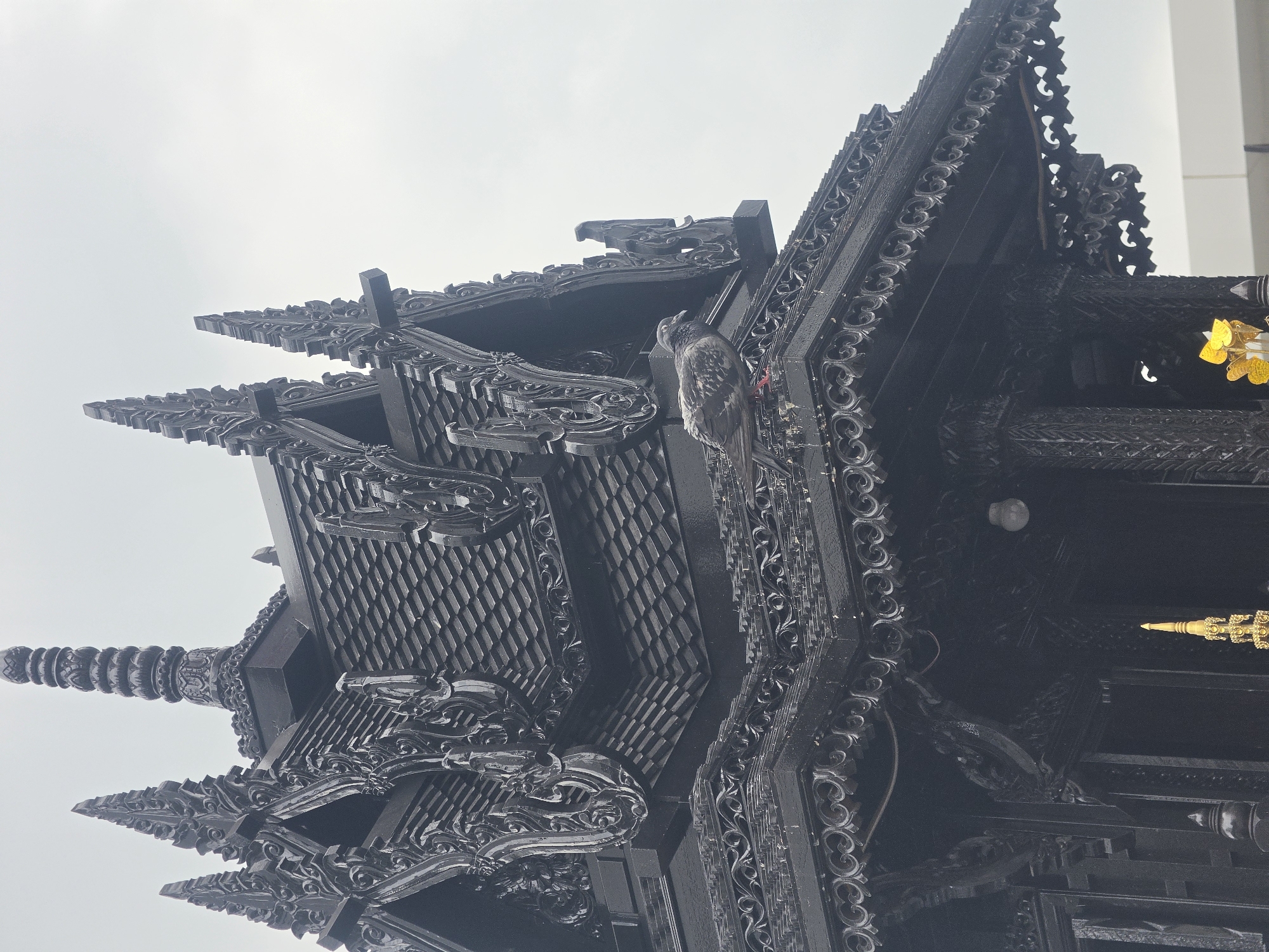 A low-angle shot depicts the ornate black exterior of a traditional Thai building. The building's design includes intricate carvings and multiple tiered roofs. The sky is overcast, casting a diffused light. A pigeon is perched on the exterior of the building. The scene is likely in Bangkok, Thailand, given the architectural style.