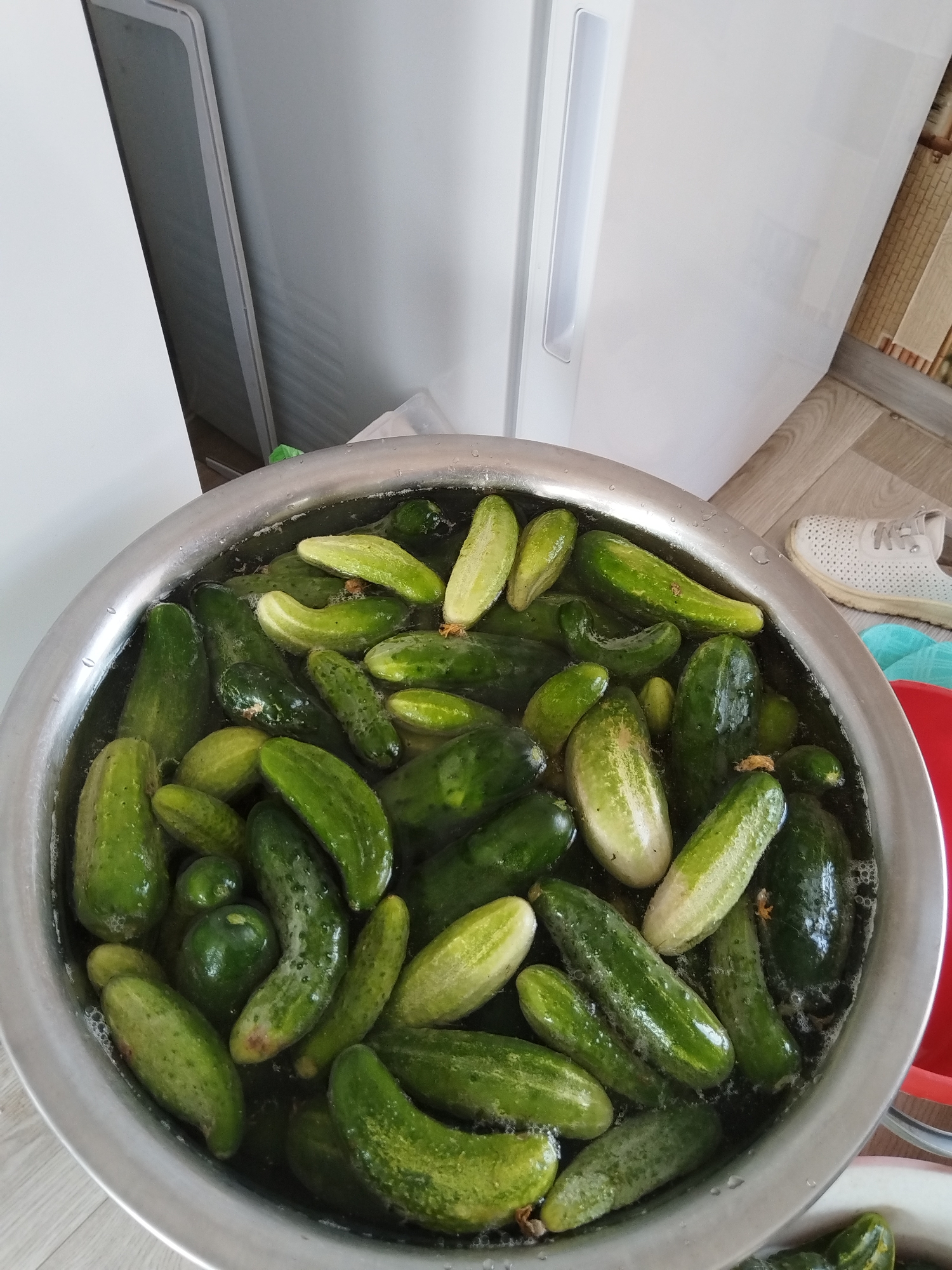 A high-angle shot shows a stainless steel basin filled with numerous green cucumbers submerged in water. The basin is placed on a wooden floor. To the left of the basin, partially visible, is a white refrigerator. To the right of the basin, a white shoe and a piece of fabric are visible on the floor. The scene appears to be an indoor domestic setting, likely a kitchen, in Minayevka, Russia.
