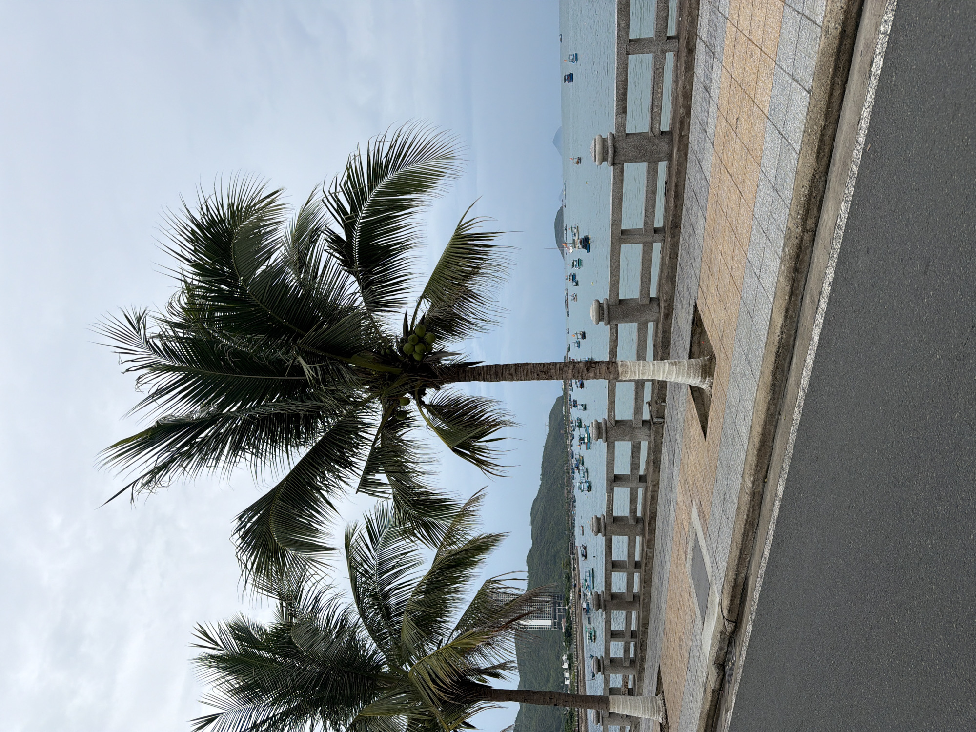 The image shows a coastal view in Bac Nha Trang Ward, Vietnam. Two palm trees are in the foreground on the left. A paved promenade with a low concrete railing runs along the shoreline, separating the sidewalk from the ocean. Numerous boats are visible in the water. A hill or mountain rises in the background. A road runs along the side of the promenade, made of black asphalt. The sky is overcast.