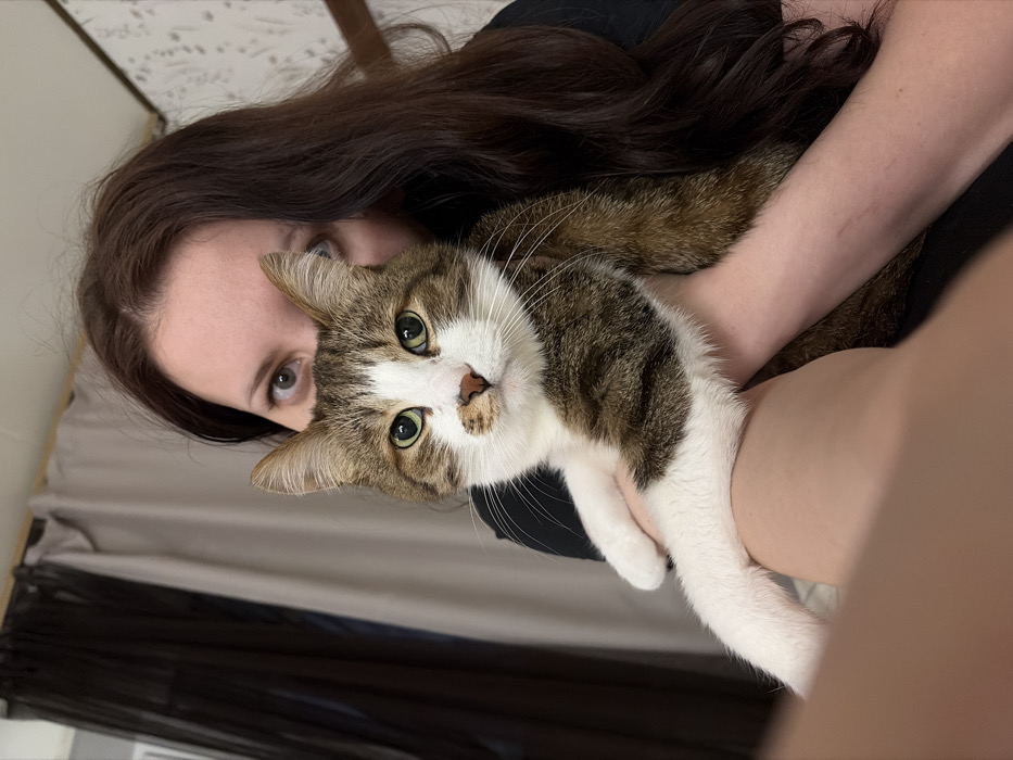 A person with long dark brown hair holds a tabby cat with green eyes and white paws. The cat is mostly white with brown tabby patches on its head and body. The person's fair skin is visible, and they are wearing a black shirt. A bed with white and grey patterned sheets is in the background, along with a curtain. The photo is taken from a slightly tilted angle, bringing the person and cat close to the viewer.