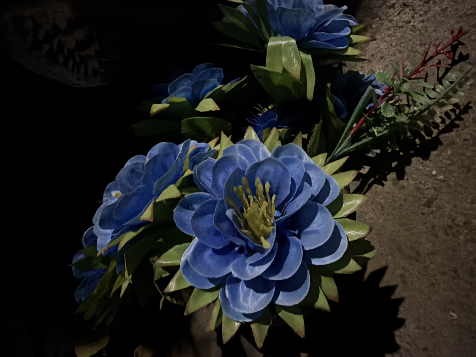 The media file displays an arrangement of artificial blue flowers with green leaves, illuminated by a direct light source in a very dark environment, likely at night. The main cluster of flowers, prominent in the foreground, features several vibrant blue blossoms with yellow-green centers, surrounded by pointed green leaves. Smaller blue flowers are visible further back and to the left. On the right side of the arrangement, slender red and green sprigs protrude.
The background is a dark, textured surface, possibly weathered concrete or stone, which casts strong, sharp shadows from the flowers and foliage. In the upper left portion of the image, partially obscured by shadow and darkness, a faint, dark, skull-like object with discernible teeth or bone structures is visible. This object suggests the remains of a small animal or a symbolic representation.
There is no discernible activity taking place, as it is a still life photograph. The stark contrast between the brightly lit flowers and the deep shadows, coupled with the dark environment, implies the scene is set outdoors at night under artificial illumination. The overall impression is somber and quiet, possibly indicating a memorial or gravesite in Dabene, Bulgaria, given the presence of artificial flowers and the skull-like object. No text is visible in the image.