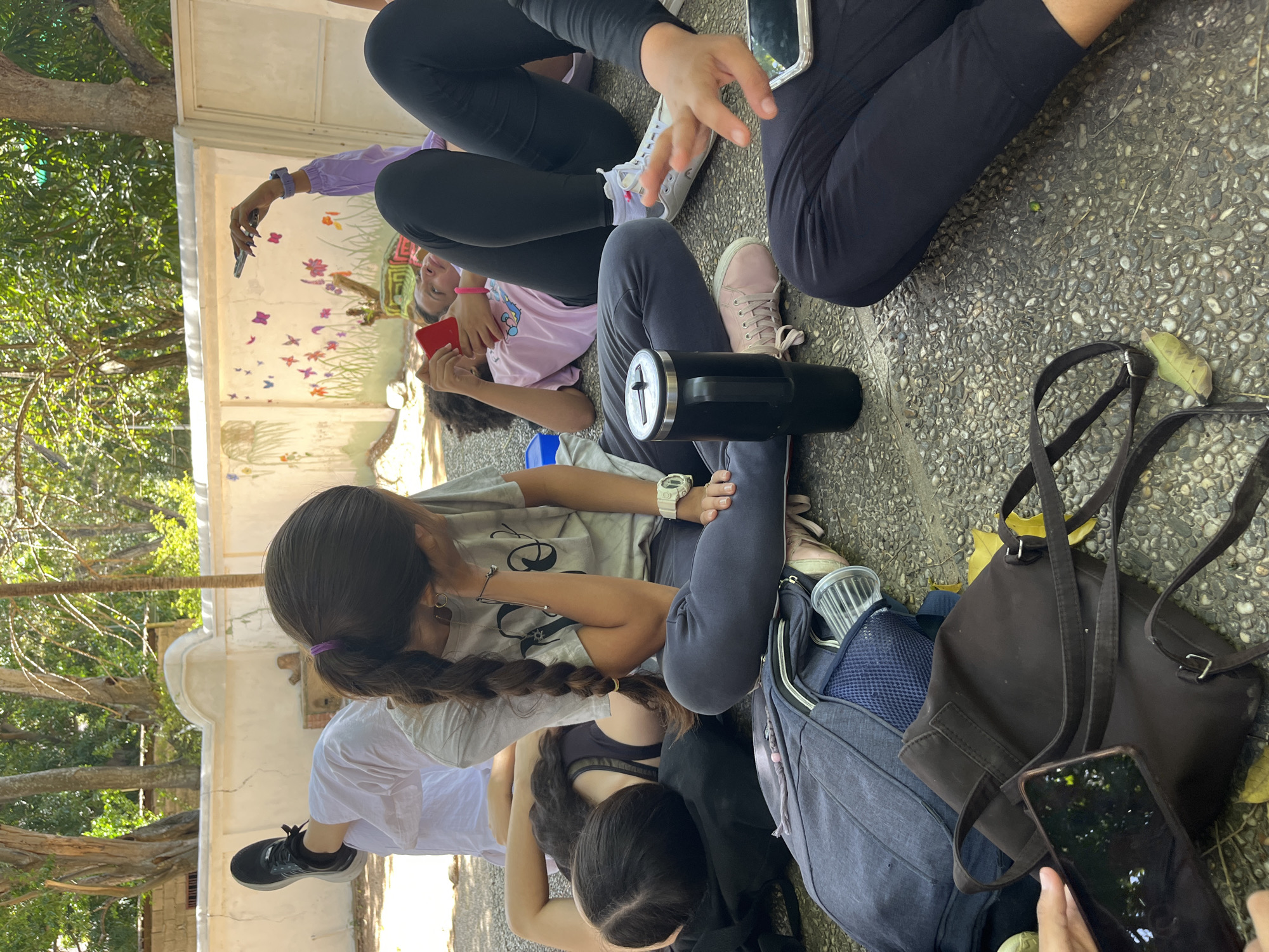 A group of young women are sitting on a stone-paved ground. Some are using their mobile phones. One woman is wearing a grey shirt and a braid, next to a girl with a black shirt, and white shirt, and a girl with a pink shirt. There are two backpacks and a large black tumbler on the ground. The photo appears to have been taken in an outdoor location in El Valle del Espíritu Santo, Venezuela, near a wall decorated with painted flowers and butterflies.
