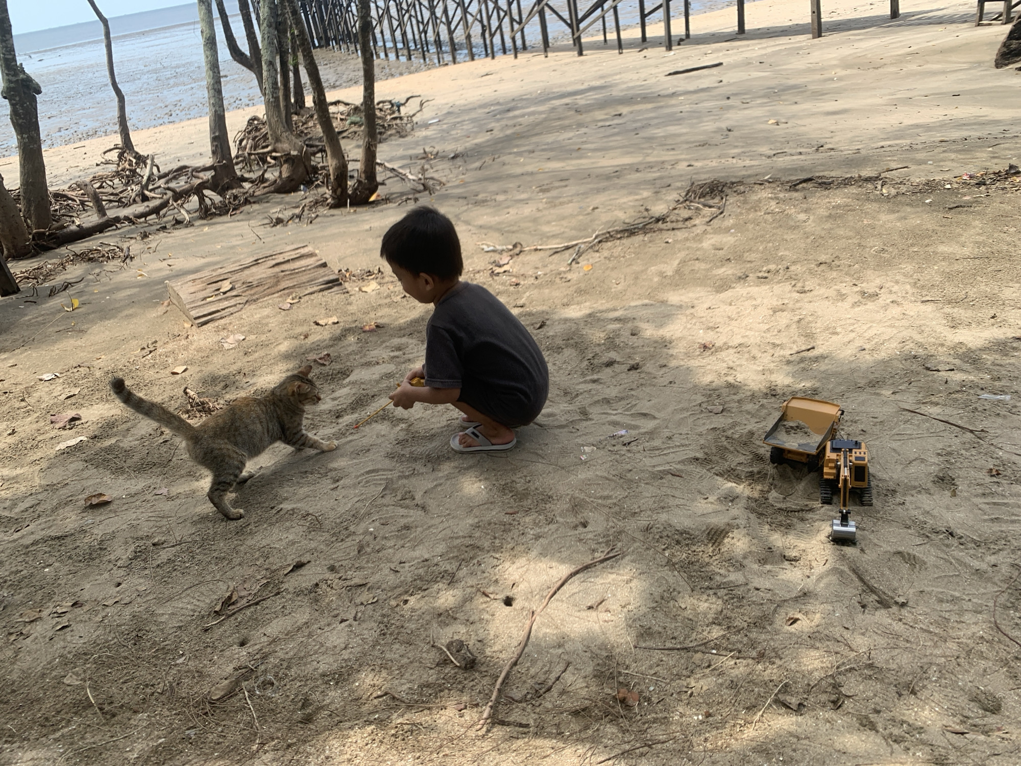 The scene is set on a sandy beach in Tanjung Limau, Indonesia, partially shaded by trees, with a wooden pier extending over the water in the background. A young boy, wearing a dark shirt and light-colored sandals, is crouched on the sand, holding a yellow object, possibly a toy. A tabby cat is positioned in front of him, seemingly engaged in play. Beside the boy, a toy construction vehicle is visible on the sand. The beach is littered with debris such as small branches and leaves. The tide appears to be low, exposing a wide expanse of sand.