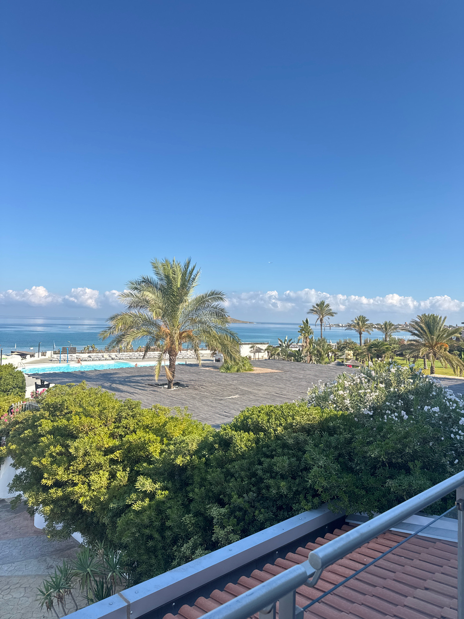 A wide-angle, eye-level shot captures a sunny day at a seaside resort in Capaci, Italy. The upper half of the frame is dominated by a clear, vibrant blue sky with scattered white clouds. Below, the turquoise Mediterranean Sea meets a sandy beach lined with lounge chairs and umbrellas.
In the midground, a large, rectangular swimming pool with bright blue water is surrounded by a wooden deck. A prominent palm tree stands in the center of the deck, casting a shadow. Lush green bushes and flowering white shrubs frame the foreground, with a tiled roof and metal railing visible at the very bottom of the frame. Several people are visible by the pool and on the beach, relaxing and enjoying the scenery. The overall atmosphere is one of leisure and tranquility.