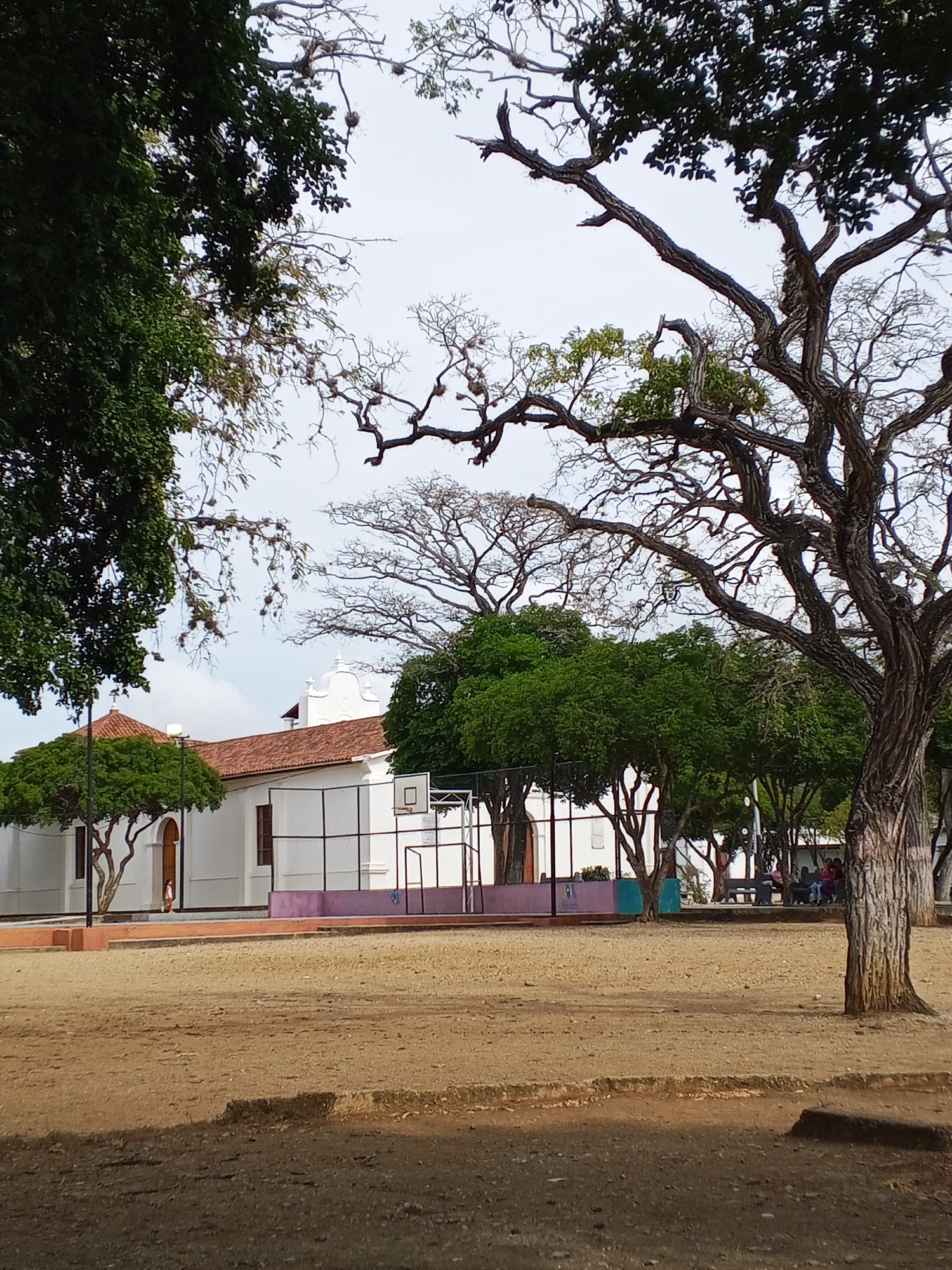 The image depicts a dirt plaza or park in an urban setting, with a white building featuring a red tile roof visible in the background. The building has a church-like architectural element with a cross on top. A basketball court is situated adjacent to the building, enclosed by fencing. A large tree with intricate branches dominates the foreground, partially obscuring the view. Other trees with green foliage are scattered throughout the scene. In the background, figures are visible seated on benches in the plaza. The location is in the city of Unknown, Unknown.