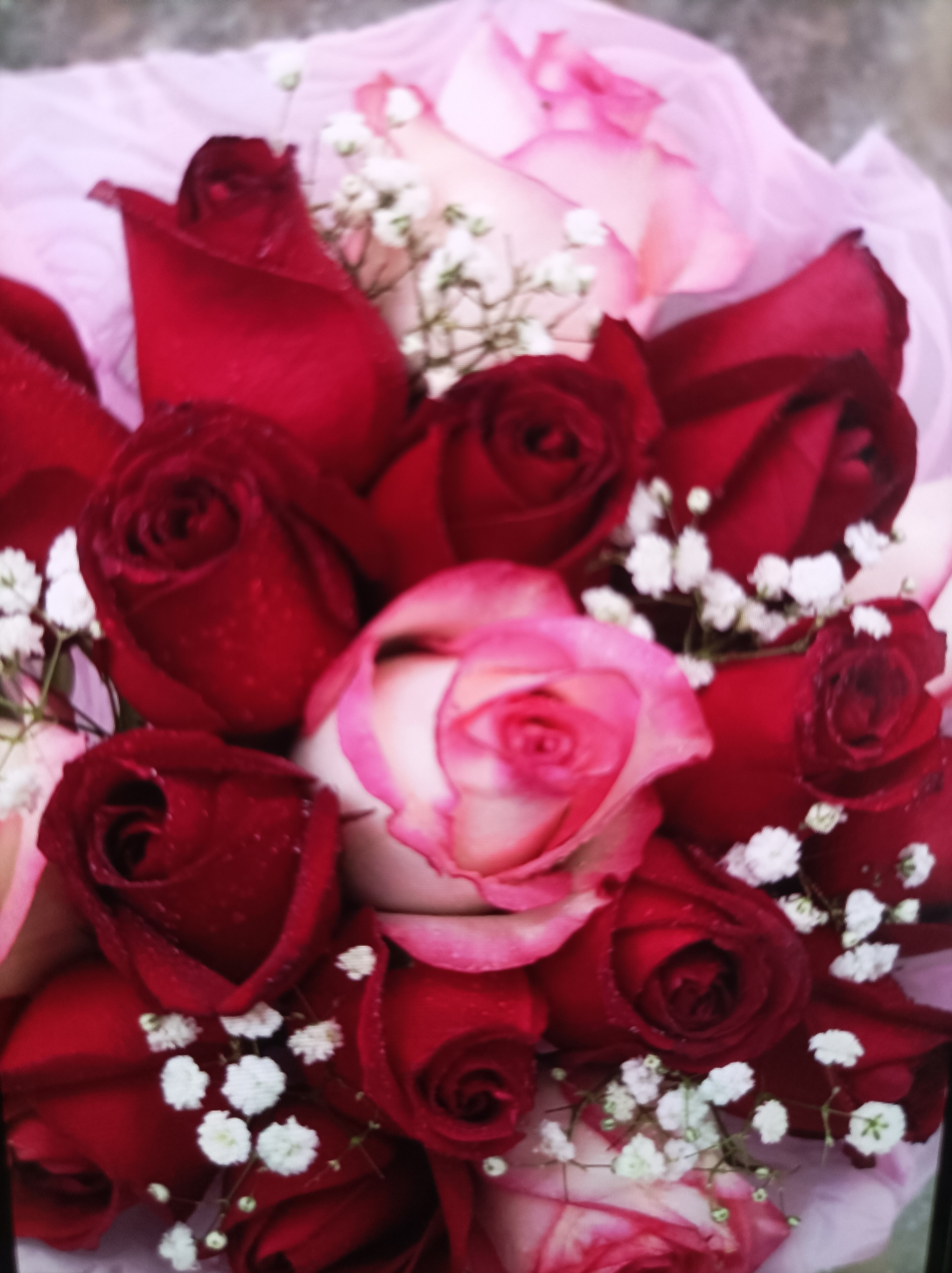 A close-up, overhead shot shows a bouquet of red and pink roses intertwined with baby's breath flowers. The roses, some with water droplets on their petals, are in various stages of bloom. The bouquet is wrapped in light pink tissue paper. The image does not contain any discernible environmental cues or landmarks that would indicate a specific location within the city of Seýdi, Turkmenistan.