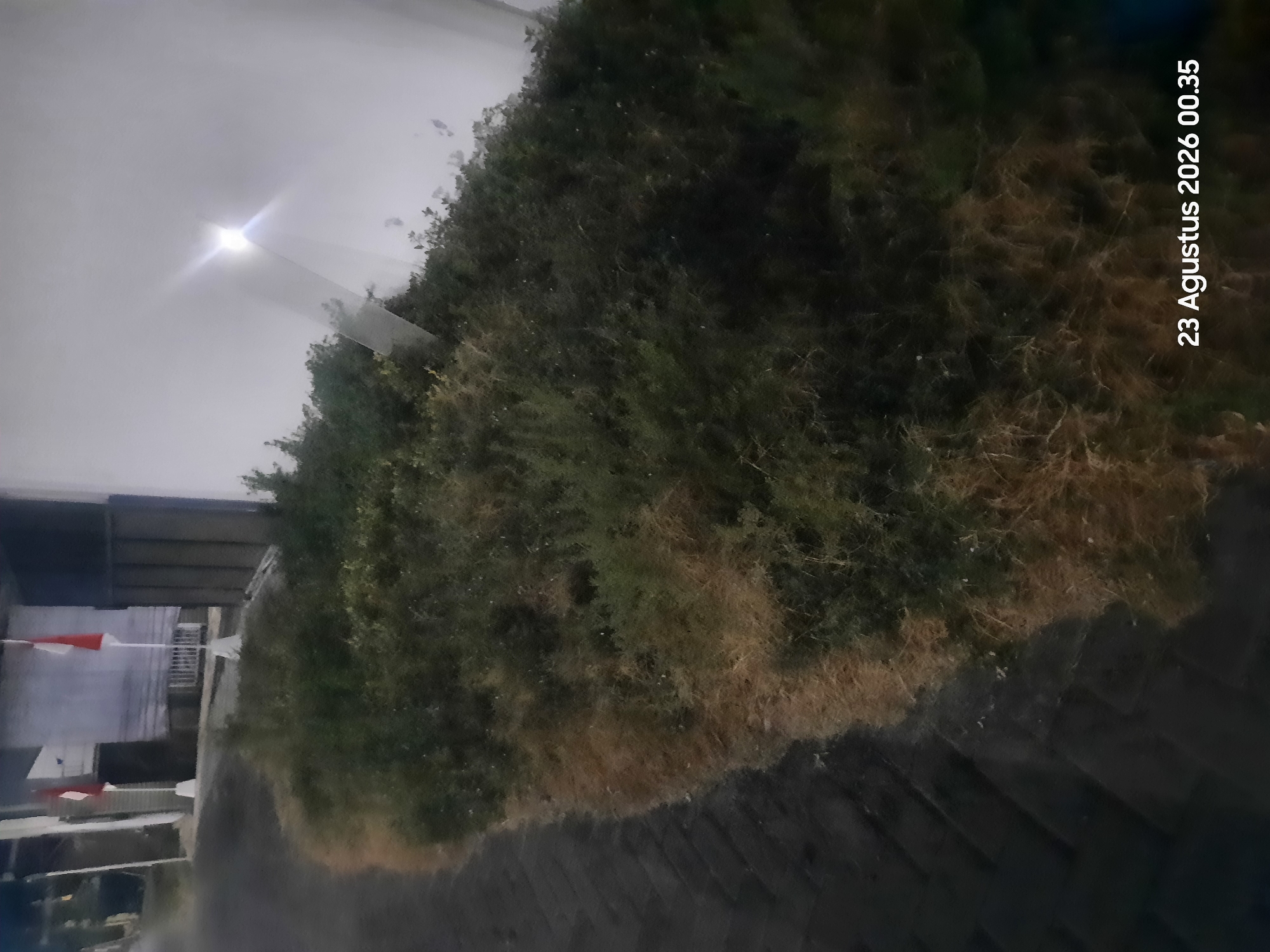 The image shows a dimly lit outdoor scene with lush green vegetation and dry, brown grass bordering a dark paved area. Two flags, one red and white and the other white, are visible in the background, mounted on poles in front of a building structure. The lighting suggests it is either early morning or late evening, as indicated by the date and time stamp "23 Agustus 2026 00.35" (August 23, 2026, 00:35) in the bottom right corner. A bright light source is visible in the upper right portion of the image, creating a lens flare effect. The overall scene appears to be a public space, possibly a park or the grounds of a building, in Sukokerto, Indonesia, given the date format and the presence of Indonesian flags. There are no people or discernible actions taking place within the frame.