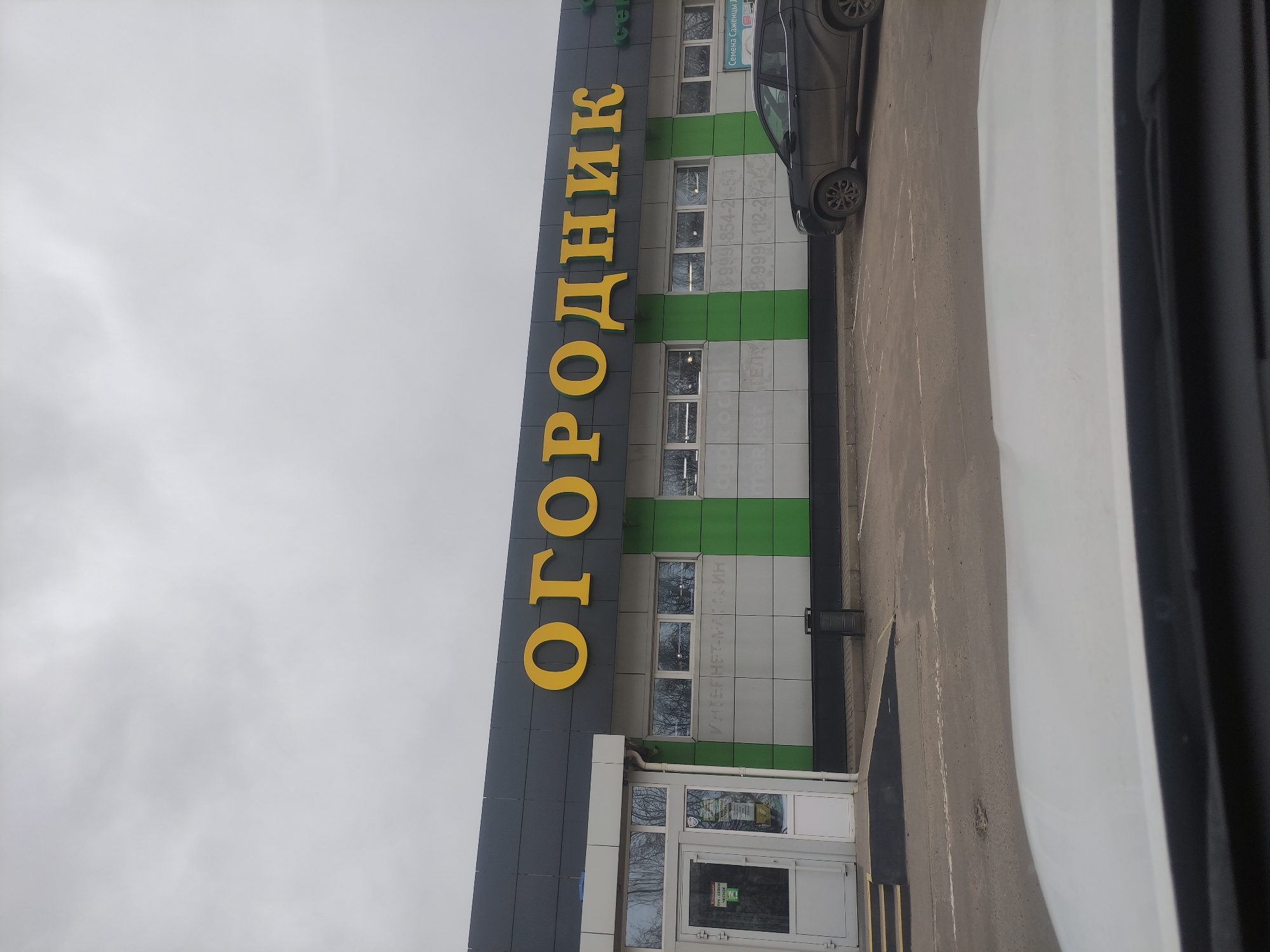The image captures the exterior of a modern commercial building under an overcast sky. The building, positioned on the left, features a contemporary design with dark gray panels and alternating horizontal stripes of green and white. Large yellow Cyrillic letters prominently display "ОГОРОДНИК" (OGORODNIK), which translates to "Gardener" or "Market Garden," on the dark gray facade, indicating the nature of the business.
Below the main signage, the building has several windows, some reflecting the cloudy sky and bare tree branches. A glass entrance door is visible at the bottom, and a black trash can stands nearby.
Further text details are visible on the building: a sign on the green stripe near a parked car reads "СЕМЕНА САЖЕНЦЫ" (SEMENA SAZHENTSY), meaning "Seeds Seedlings." Below this, phone numbers are listed: "+7-999-854-21-54" and "+7-999-112-27-75". Inside one of the windows, the words "ИНТЕРНЕТ МАГАЗИН" (INTERNET MAGAZINE) are discernible, suggesting an online store component.
To the right of the building, a paved area, likely a street or parking lot, is visible. A dark-colored SUV or crossover is parked facing away from the viewer, with only its rear visible. Part of a white vehicle is also seen in the extreme foreground on the right. The sky is uniformly gray, suggesting a cloudy day. No people are visible in the scene. The Cyrillic text confirms the location context of Vereya, Russia.