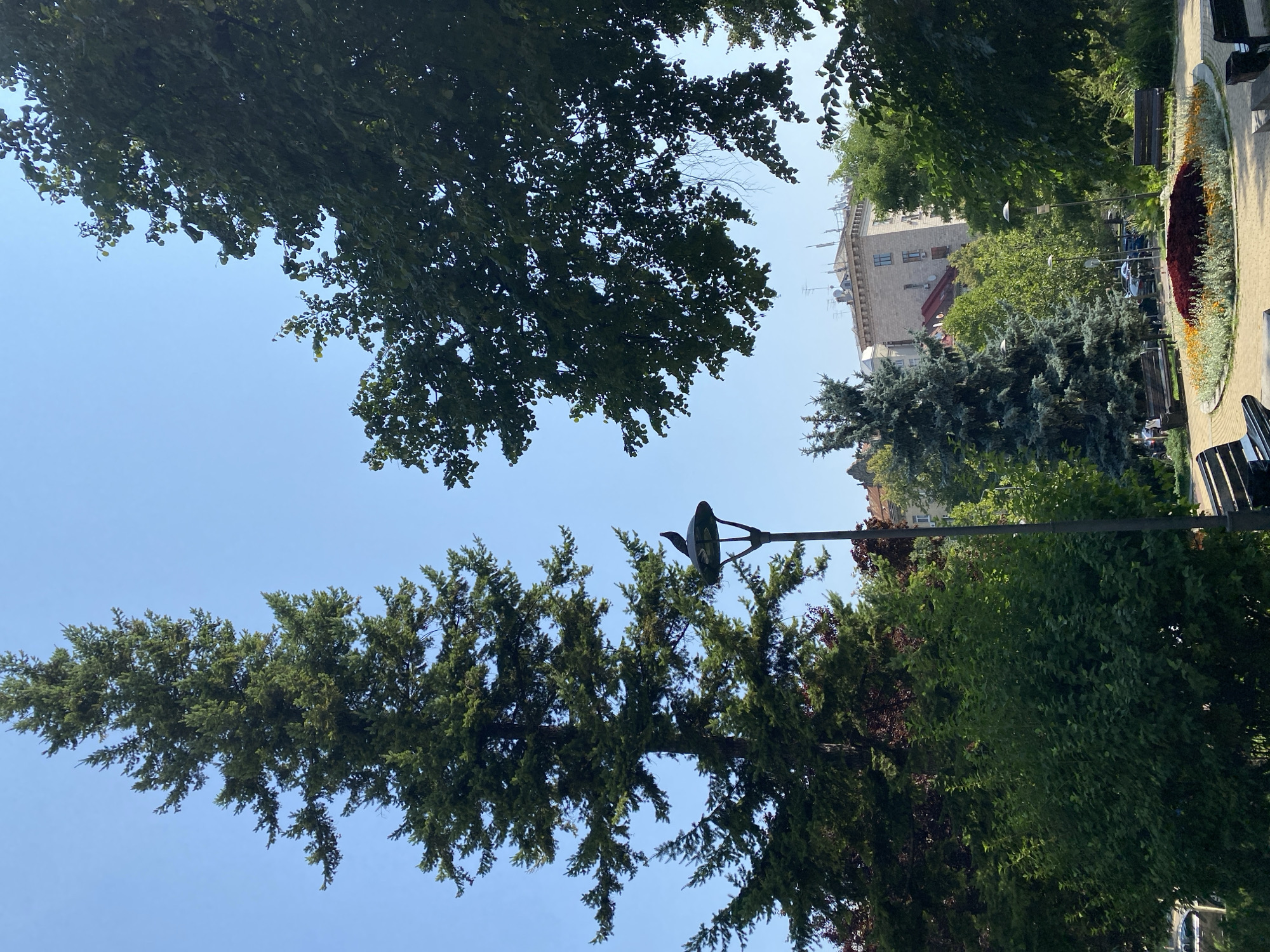 An outdoor, ground-level, medium shot captures a sunny day in a city park. The scene is dominated by lush green trees and foliage. A tall evergreen tree stands prominently on the left side of the frame, its branches reaching towards the clear blue sky. To the right, the canopy of another tree partially obscures the sky and a light fixture.
In the center of the image, a bird, possibly a crow or raven, is perched on top of a street lamp. The lamp is situated near a circular flower bed, which is vibrantly decorated with red, orange, and yellow flowers, surrounded by lighter greenery.
Further into the park, two wooden benches are visible, one on either side of the flower bed, suggesting a place for people to sit and enjoy the surroundings. In the background, several other trees of various types and shades of green are present, along with a multi-story building that appears to be an apartment complex or hotel. The building has a light-colored facade and a peaked roof, with antennae visible on top.
The ground in the park is paved with light-colored bricks in a circular pattern around the flower bed. A few people can be seen in the distance, walking or sitting, adding a sense of life to the park. The overall atmosphere is peaceful and serene, indicative of a pleasant day in an urban green space.