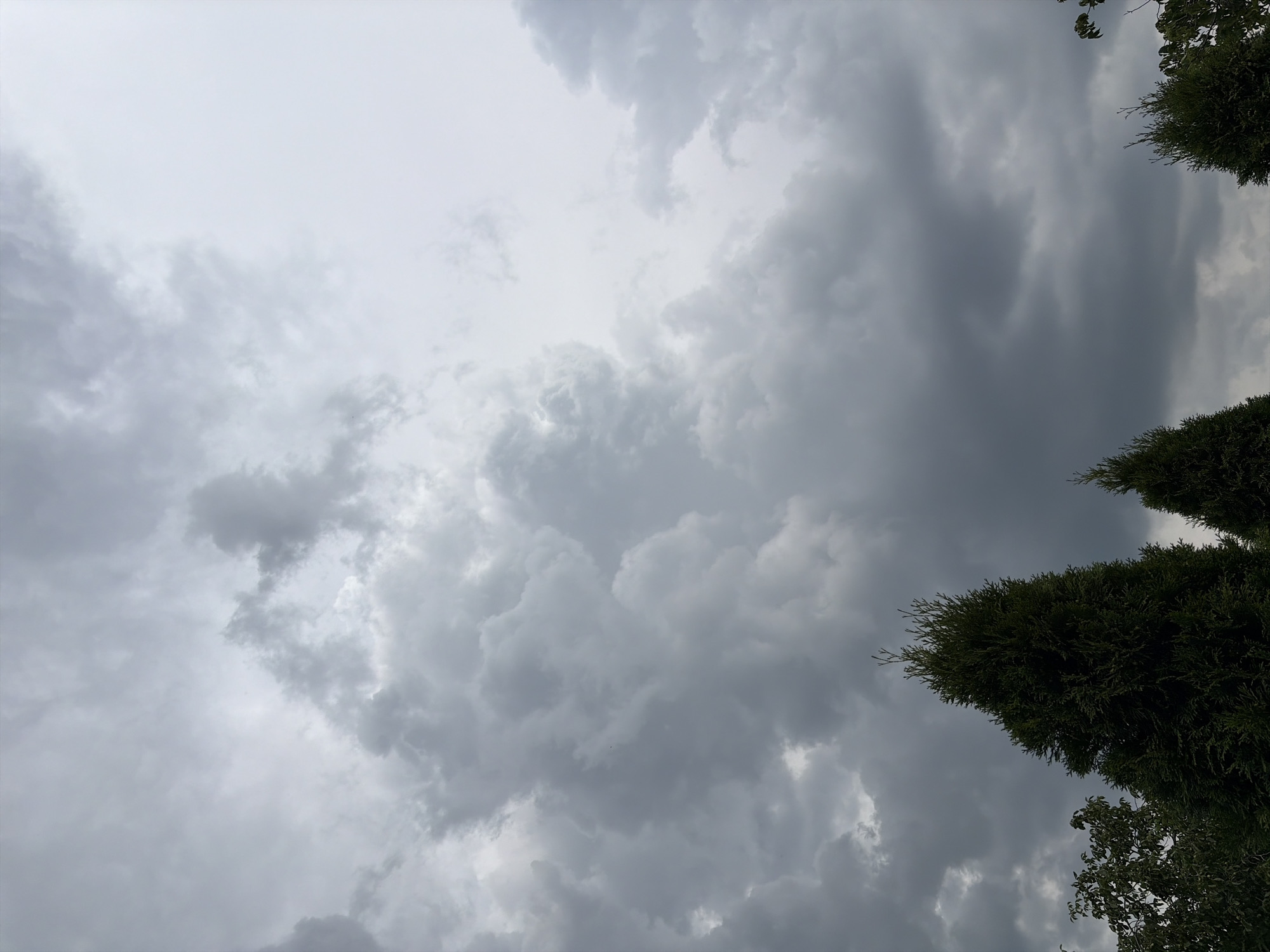 The image captures a view of a cloudy sky over the city of Oxentea, Moldova. The sky is filled with dark, dramatic storm clouds, suggesting an impending or ongoing weather event. In the foreground, the tops of several evergreen trees are visible, their dark green foliage contrasting with the gray sky. The scene is devoid of any people, buildings, or immediate urban elements, focusing solely on the natural environment and the atmospheric conditions.
