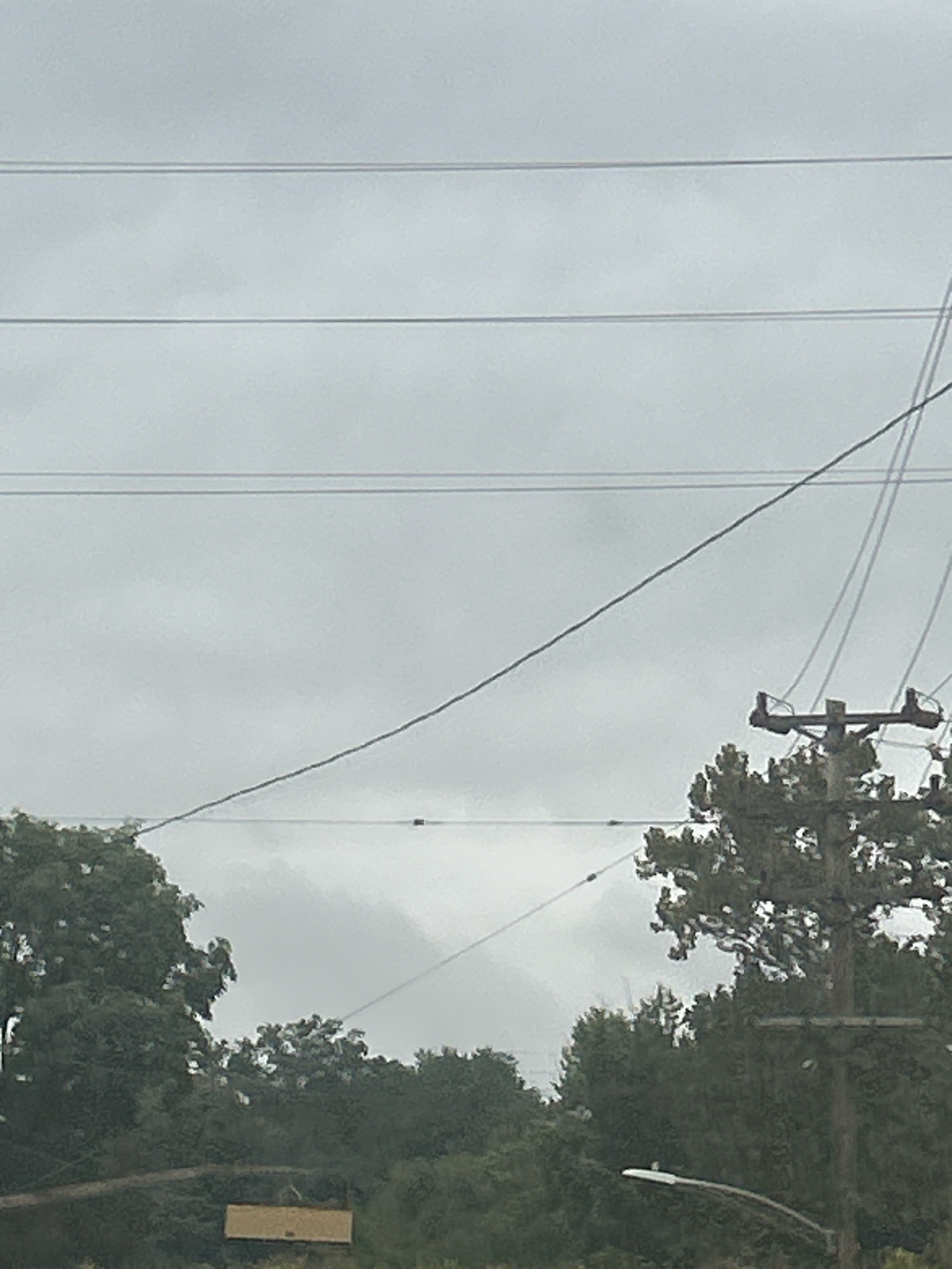 An outdoor, medium-shot, eye-level photograph captures a cloudy sky with several utility wires strung across it. In the lower right quadrant, a wooden utility pole with insulators and wires is visible, partially obscured by the branches of a leafy green tree. To the left of the pole, more trees form a dense green canopy. In the lower left quadrant, a small, rectangular, tan structure sits atop a dark, low-lying object. A white streetlight fixture curves from the right side of the frame into the lower portion of the image. The scene appears to be in Scott Township, United States of America.