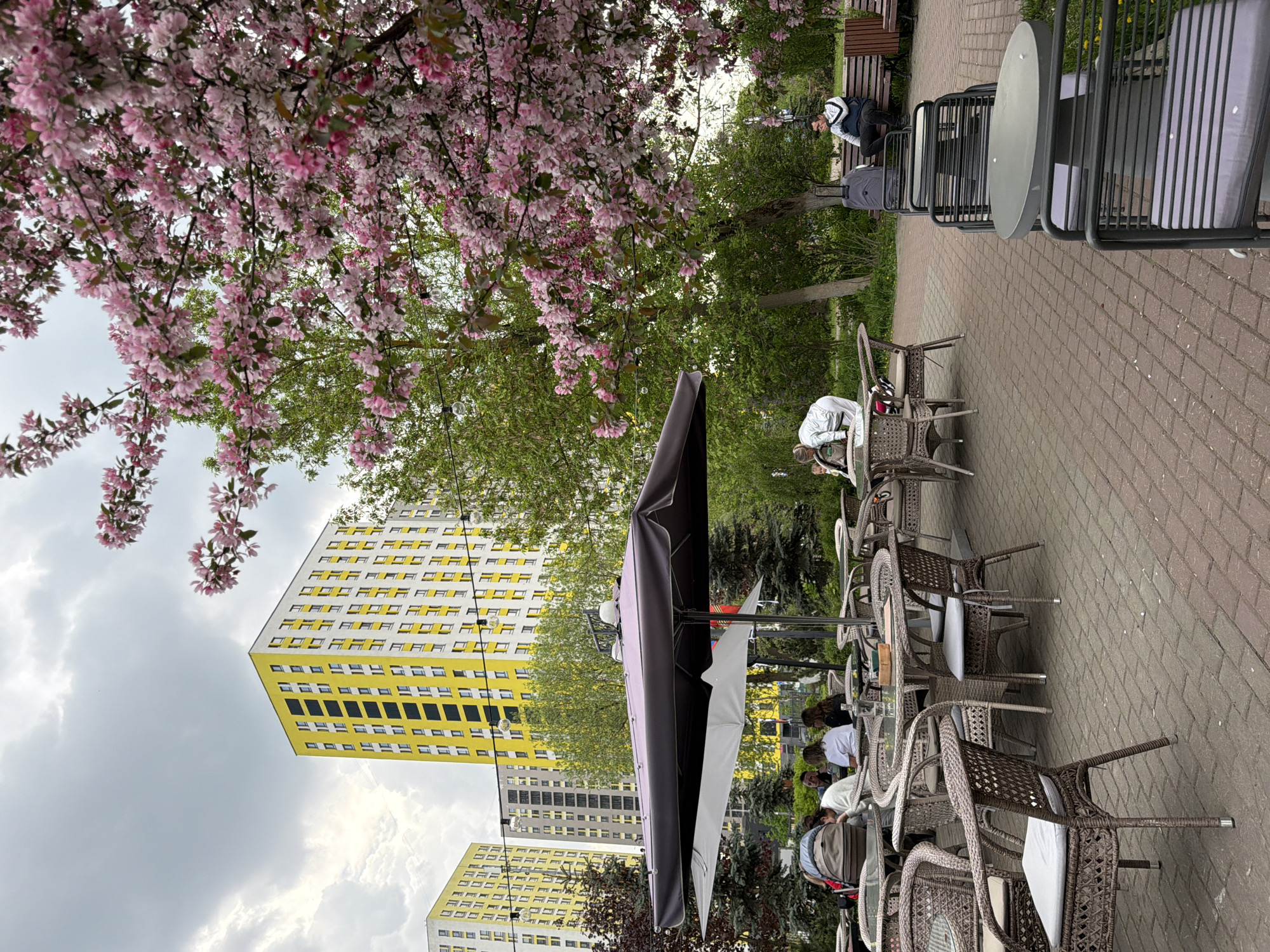 The image depicts an outdoor cafe in Khimki, Russia. The cafe has brown wicker chairs and tables, some occupied by people. A large, black umbrella provides shade. In the background, there are yellow and white apartment buildings. A flowering tree with pink blossoms is visible on the left. A brick walkway extends to the right, where additional tables and chairs are stacked. A person is sitting on a bench in the background. The sky is overcast.