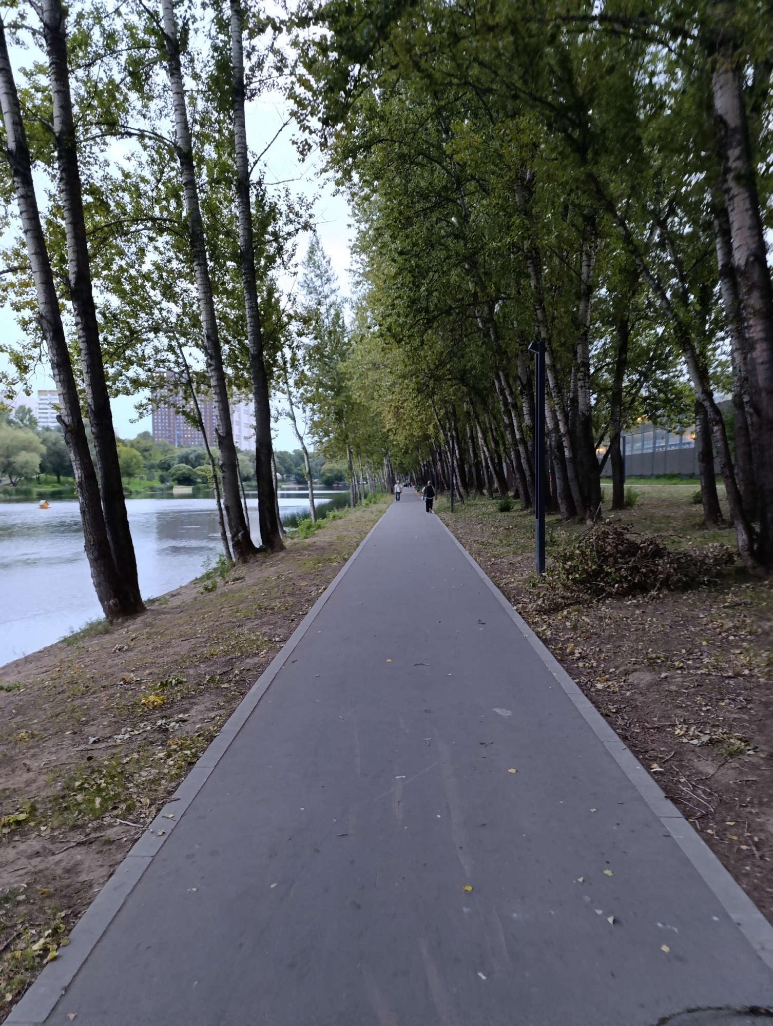 A straight, paved pathway runs through a park-like setting next to a body of water. Trees line the right side of the pathway, their trunks slender and white-barked, with green leaves forming a canopy overhead. The pathway is gray and appears to be a dedicated walking or biking path, with a concrete border. On the left, the water is calm and reflects the overcast sky. In the distance across the water, apartment buildings are visible. Two people are walking away from the camera on the pathway. On the right side of the pathway, a pile of branches and leaves has been gathered. The ground around the trees is covered with dirt and fallen leaves. The overall scene suggests a peaceful, urban park environment.