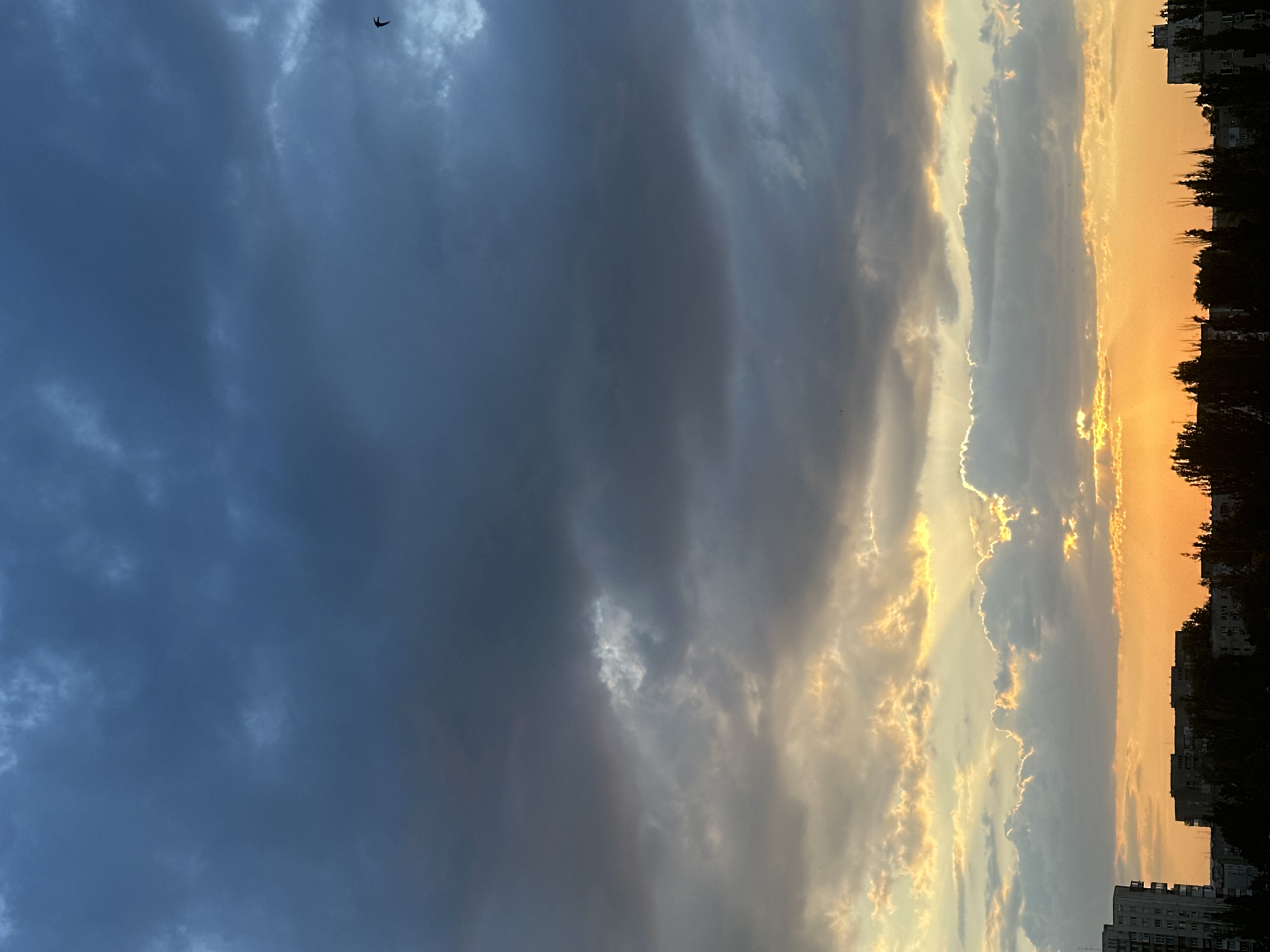 A panoramic, vertical shot captures a dramatic sunset over an urban landscape. The sky dominates the frame, transitioning from a deep, stormy blue at the top to vibrant oranges and yellows at the horizon. Heavy, dark clouds are scattered across the upper portion of the sky, with lighter, illuminated clouds forming a band just above the sunset. Rays of sunlight pierce through gaps in these clouds, creating a luminous effect. A solitary bird is visible as a small silhouette against the dark clouds in the upper right quadrant of the image. Below the sky, the silhouettes of apartment buildings and trees are visible against the bright sunset glow. The buildings appear to be of mid-rise construction, common in a city setting. The trees are dense and dark, forming a line across the horizon. The overall atmosphere is one of a transition from day to night, with the fading sunlight creating a striking visual contrast against the gathering clouds. The image is static, with no apparent human activity or movement.