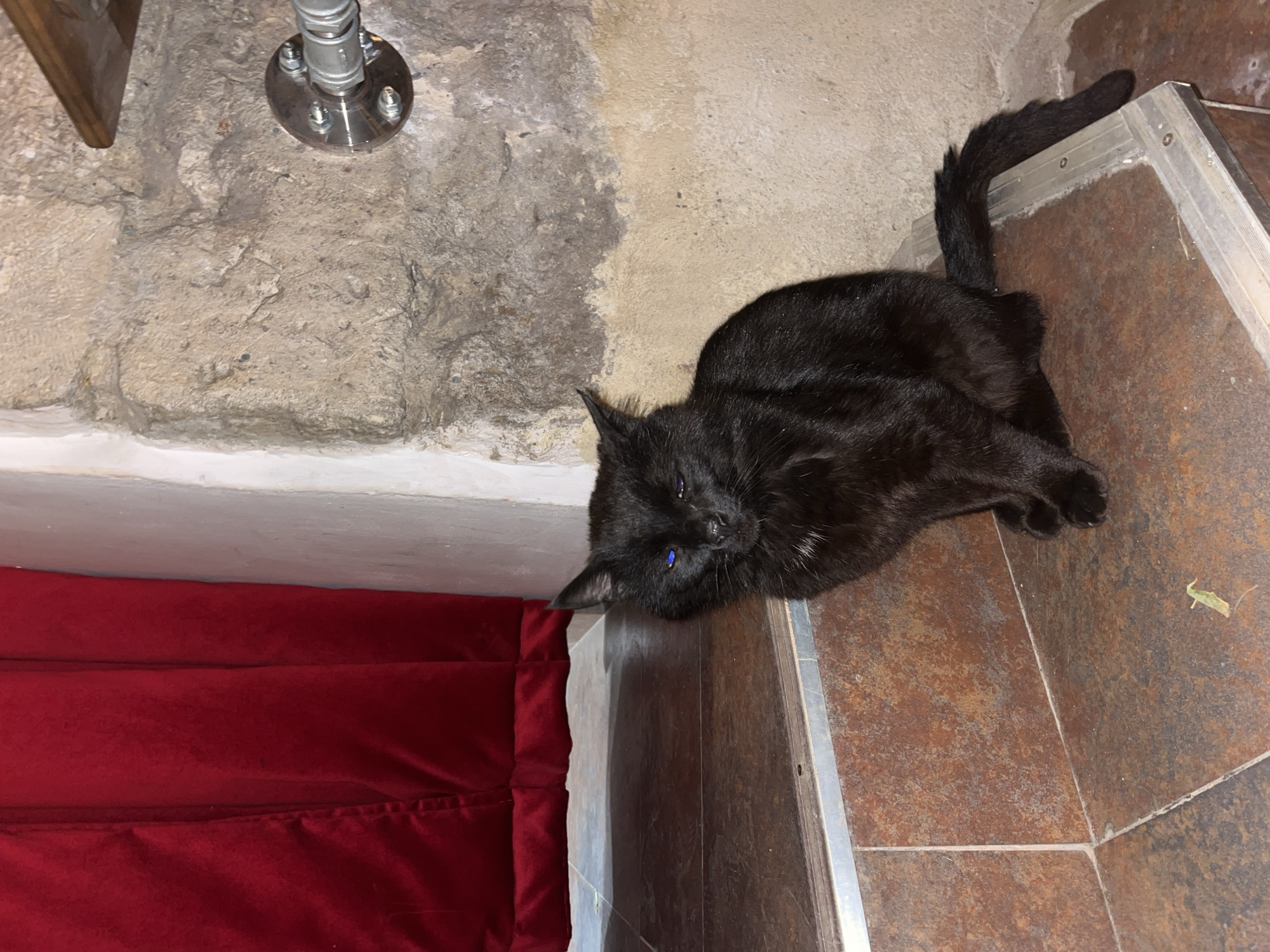 A black cat lies on a set of stairs. The stairs appear to be tiled with a brown, marbled pattern and have a silver trim. Next to the stairs is a red, cushioned object. The wall in the background is textured and appears to be made of stone or concrete. A metal pipe fixture is visible on the wall. The location is Varna, Bulgaria.