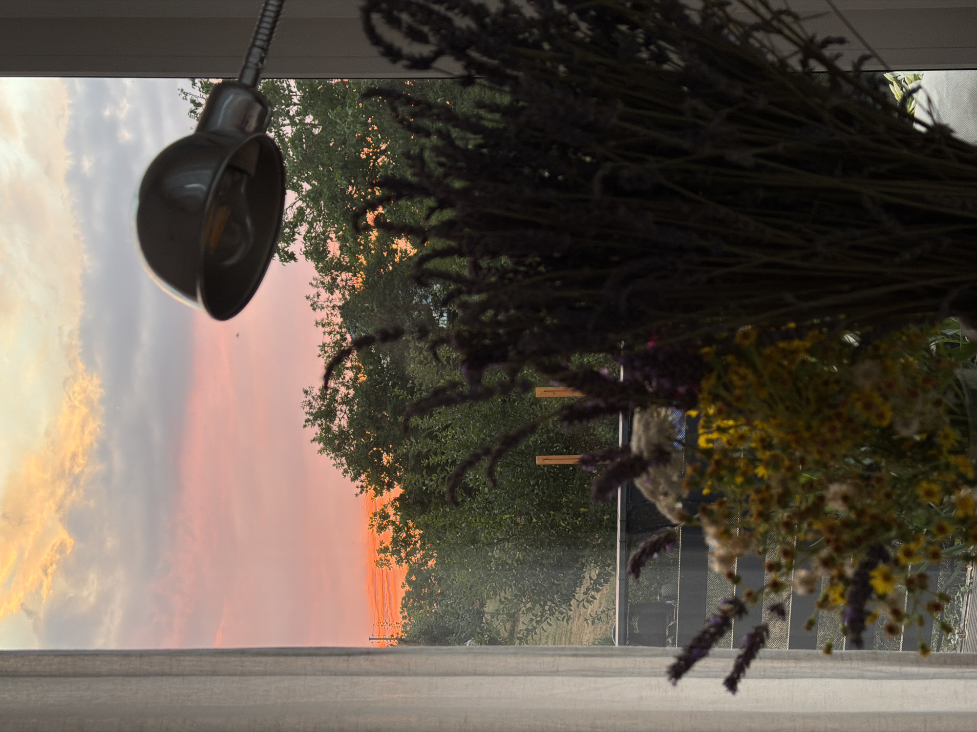 This image depicts a sunset viewed through a window in Gangloff, Germany. In the foreground, a bouquet of dried lavender and other wildflowers sits in a vase, partially obscuring a window with a white curtain on the left. A silver desk lamp is positioned in the upper right corner of the frame, its head angled downwards. Beyond the window, a landscape is visible, featuring lush green trees and a hint of rolling hills. The sky is painted with vibrant sunset hues of orange, pink, and yellow, with scattered clouds. The scene suggests a peaceful, indoor setting with a connection to the outdoors.
