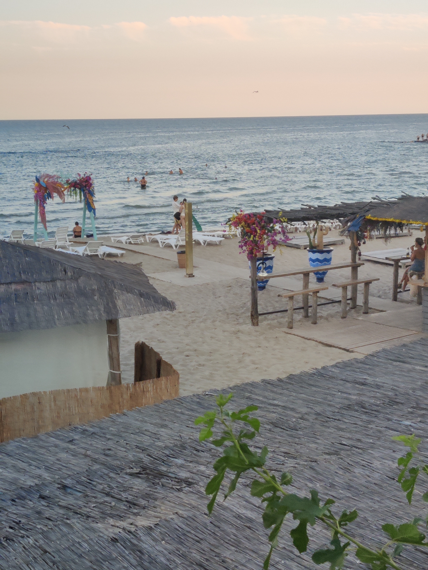 This is a medium-shot photograph taken from an elevated position looking down at a beach scene in Odesa, Ukraine, possibly during late afternoon given the soft lighting and pastel colors in the sky. In the foreground, the thatched roof of a structure is visible, with green foliage growing over it.
The beach itself is sandy, with rows of white lounge chairs scattered across it. A light blue, floral-decorated archway stands near the water's edge. Several people are visible in the water, swimming and wading, while others are on the beach. Some are seated at wooden picnic tables under thatched awnings. Two large blue and white patterned pots are placed near the tables, one with a cactus-like plant and the other with a vibrant floral arrangement. A person is seated at one of the tables, facing away from the camera, appearing to drink something.
The sea is a calm, blue expanse stretching to the horizon, where it meets a pale, hazy sky with hints of pink and orange. A lone bird is seen in flight over the water. In the background, a few more structures with thatched roofs and lounge chairs are visible, suggesting a resort or beach club setting. The overall impression is a relaxed, seaside atmosphere.
