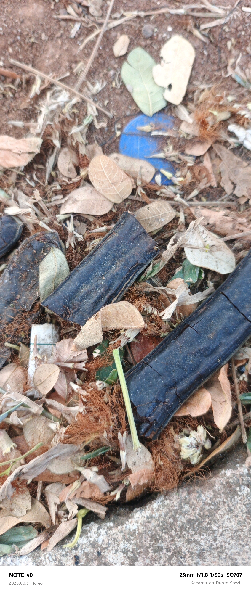 The image is a close-up, vertical shot of the ground covered in dry leaves, dirt, and some debris. Two dark, rectangular objects, possibly pieces of plastic or rubber, lie diagonally across the frame. There is a small, bright green stem or twig protruding from the debris. In the upper portion of the image, a bright blue object is partially visible amongst the leaves. The bottom of the image contains text indicating "NOTE 40" and a date and time "2026.08.31 16:46", along with camera settings "23mm f/1.8 1/50s ISO707" and a location "Kecamatan Duren Sawit". Based on the location tag, the scene is in the Duren Sawit District of East Jakarta, Indonesia.
