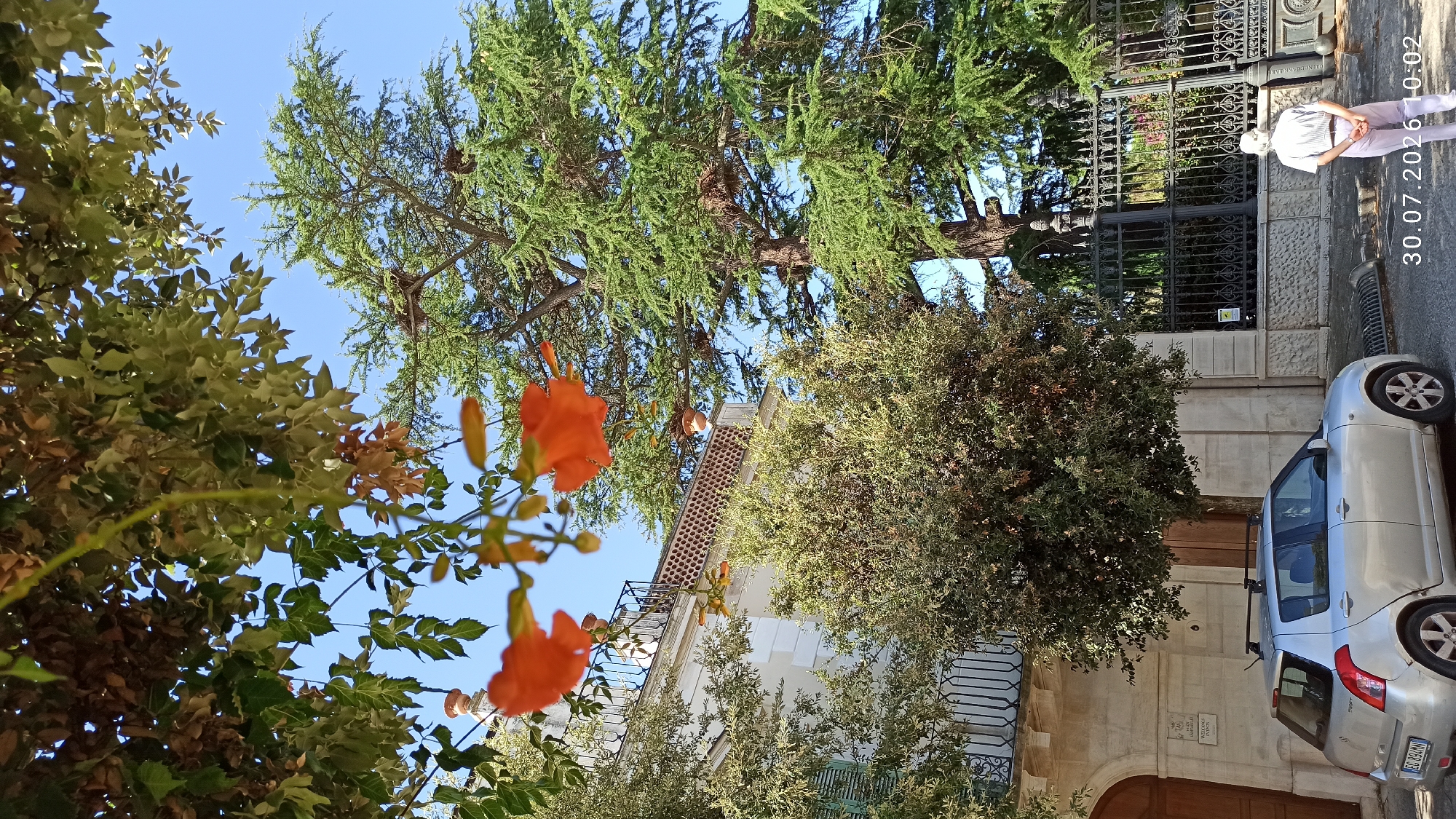 In the city of Terlizzi, Italy, a silver Suzuki Swift is parked on the street in front of a building with a balcony. The building is adorned with plants and flowers, some of which are orange. A large tree with green foliage stands behind the building, and a person is standing near a decorative metal fence. The date and time stamp "30.07.2026 10:02" is visible in the lower right corner of the image. The sky is clear and blue.