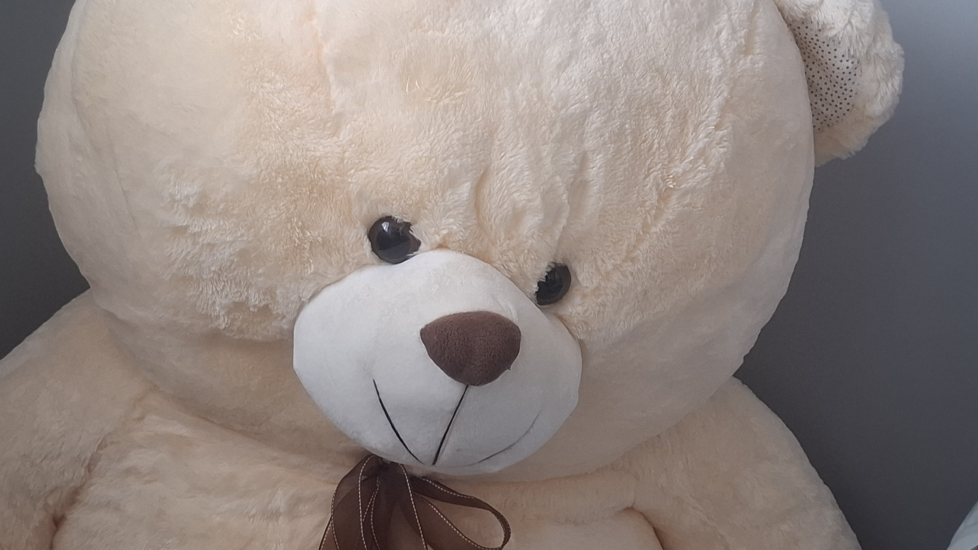 The image shows a close-up of a large, light beige teddy bear. The bear has black, shiny eyes, a white muzzle, and a brown, heart-shaped nose. Thin, black lines indicate the mouth. A brown ribbon is tied around the bear's neck. The bear's fur is plush and slightly wrinkled. The background is a blurred, light gray. The location is Unknown, Unknown.