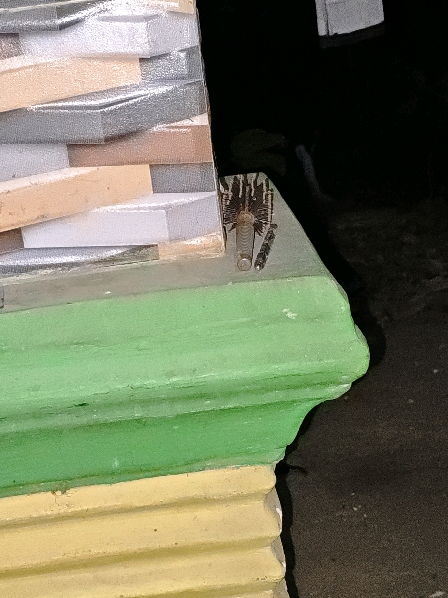 A centipede is visible on the edge of a painted surface in the city of Karang Sari, Indonesia. The centipede is dark-colored with striped markings on its body and has multiple legs. It is positioned on a light-colored surface that is partially obscured by a bright green painted ledge. Behind the ledge, the ground appears to be dark and possibly wet. The background is out of focus and dark.