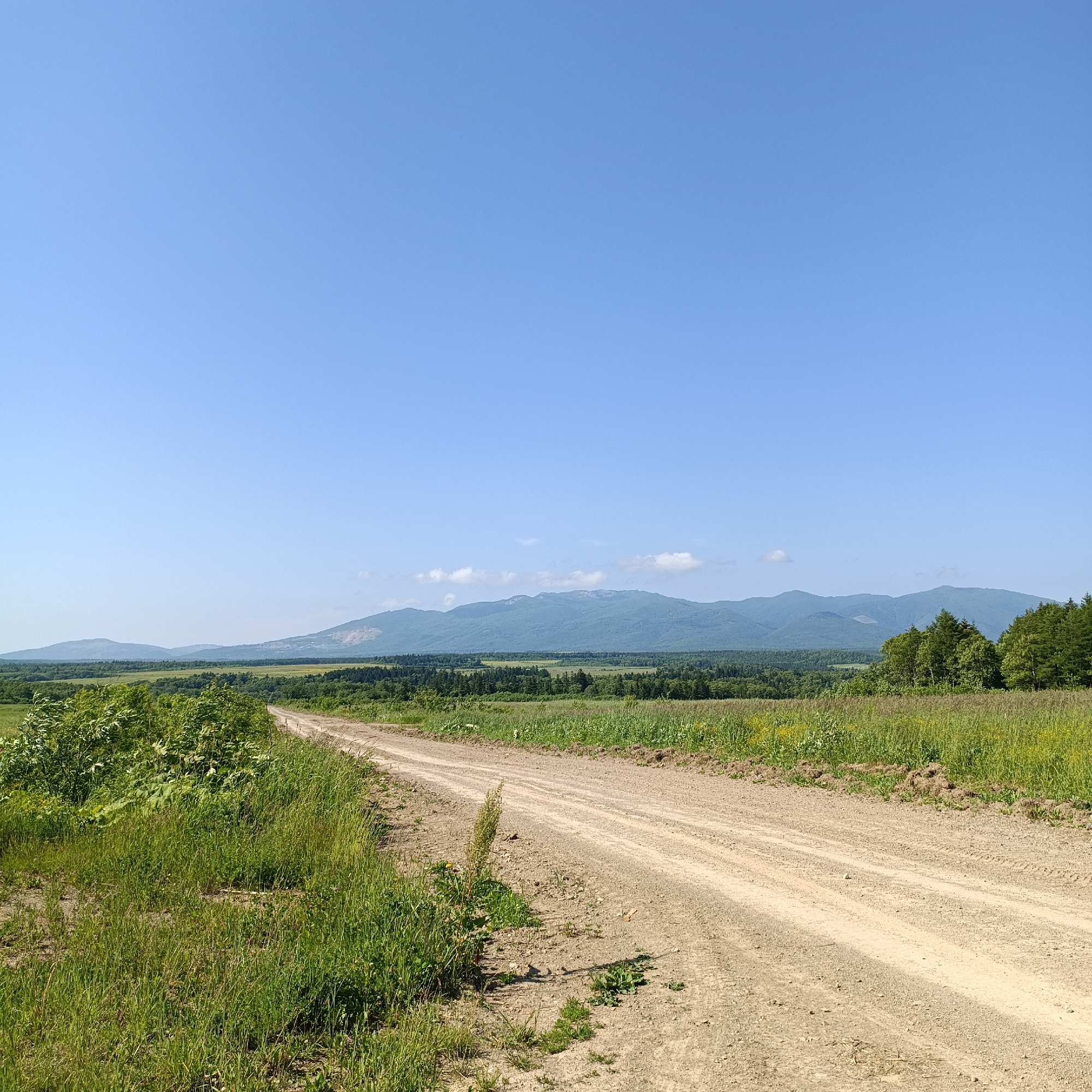 The image depicts a wide, unpaved dirt road curving into the distance, bordered by lush green grass and vegetation on the left and a field of yellow wildflowers on the right. In the background, a dense forest stretches across the landscape, leading to a range of rolling, blue-hued mountains under a clear, bright blue sky. The scene is tranquil and appears to be a rural area, consistent with the outskirts of Tambovskoe, Russia, characterized by its natural beauty and open spaces.