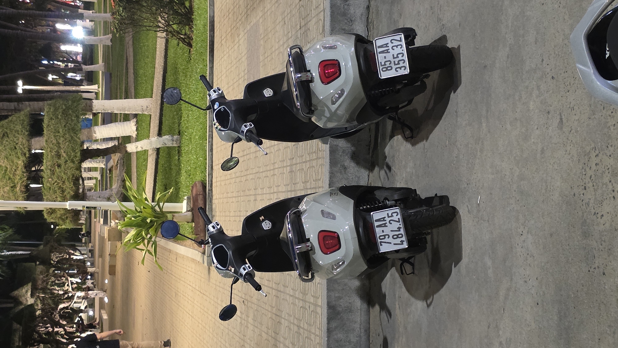 The image displays a nighttime scene in Nha Trang, Vietnam, featuring two grey and black scooters parked side-by-side on a concrete ground. The overall setting appears to be an urban park or promenade.
The scooter on the left bears the license plate "79-AA 484.25," while the scooter on the right has "85-AA 355.32" on its plate. Both are modern, step-through style mopeds, each equipped with a prominent round red taillight and a silver grab rail at the rear.
In the background, a paved walkway with a repeating pattern of rectangular tiles is visible, bordered by a strip of vibrant green grass. Beyond the grass, several trees with distinctively white-wrapped trunks line the path, suggesting a decorative or protective measure. Various artificial light sources illuminate the area, casting soft glows and some shadows, indicating that it is evening or night. A large potted plant with broad green leaves is situated between the parked scooters and the walkway. In the far distance, a person is partially visible, walking along the path.