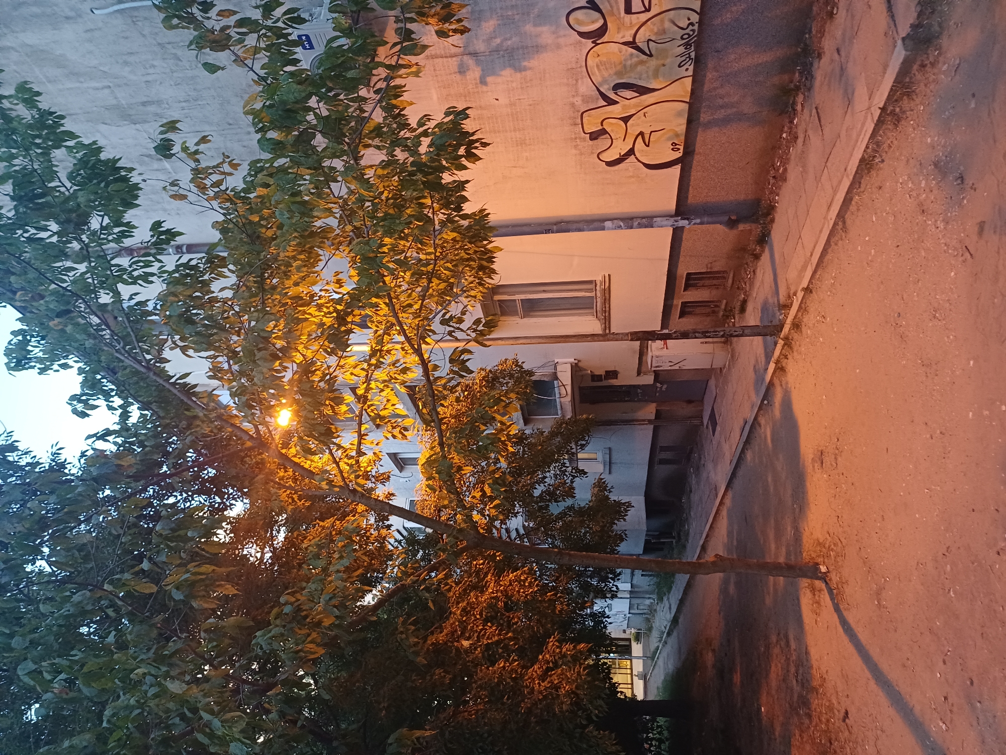 The image depicts an urban scene at dusk, likely in Varna, Bulgaria, characterized by warm artificial lighting illuminating a residential building and its surroundings. In the foreground, a dirt path with scattered pebbles and dry grass is visible, leading towards a paved sidewalk. A slender tree with sparse, light-colored leaves stands on the dirt path, casting a long, elongated shadow.
Behind the tree, a building with a light-colored facade dominates the background. The building has multiple windows, some appearing dark and others reflecting the ambient light. A section of the building's wall is covered in graffiti, featuring large, stylized yellow and black lettering. A streetlamp with a warm, orange glow is positioned near the building, contributing to the overall illumination and highlighting the leaves of a tree that partially obscures the building's upper floors.
To the left of the main building, another tree with darker foliage is visible, suggesting a street lined with trees. A narrow sidewalk runs along the base of the building, with patches of grass growing between the paving stones. The sky above is a pale, hazy blue, indicating the transition from day to night. The scene appears quiet and devoid of any people or apparent activity. The overall impression is one of an ordinary, slightly weathered urban environment bathed in the soft light of evening.