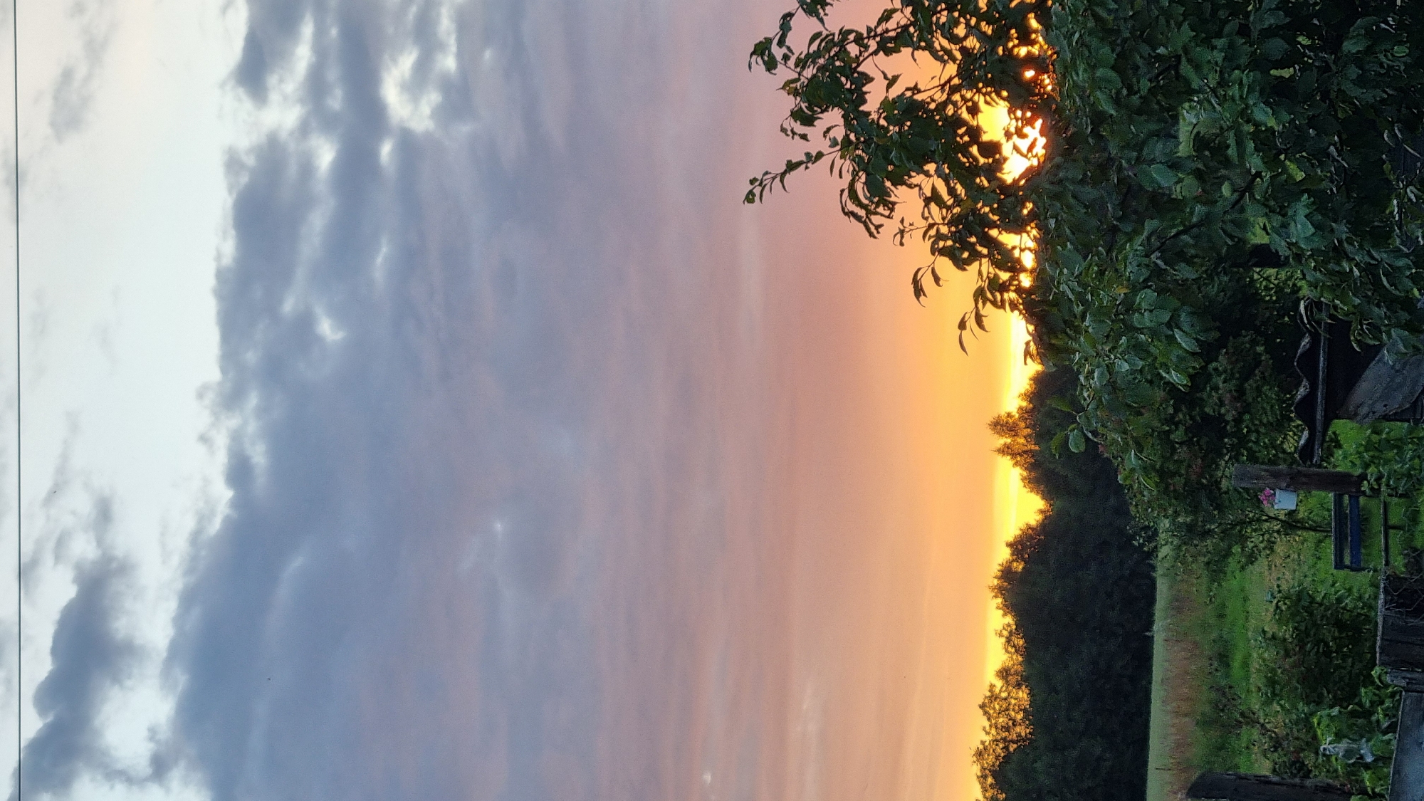 This is a vertical, medium-shot photograph of a sunset over a rural landscape, likely in the city of Vysokoe, Russia. The sky transitions from a pale blue and gray at the top, with wispy clouds, to a vibrant orange and yellow hue closer to the horizon. A dense line of dark green trees forms a silhouette against the colorful sunset. In the foreground, lush green foliage of trees and bushes dominates the lower half of the image. A wooden fence structure is visible on the left, and parts of what appear to be outdoor structures, possibly sheds or garden features, are present on the right. The overall scene depicts a serene evening in a natural, possibly agricultural setting.