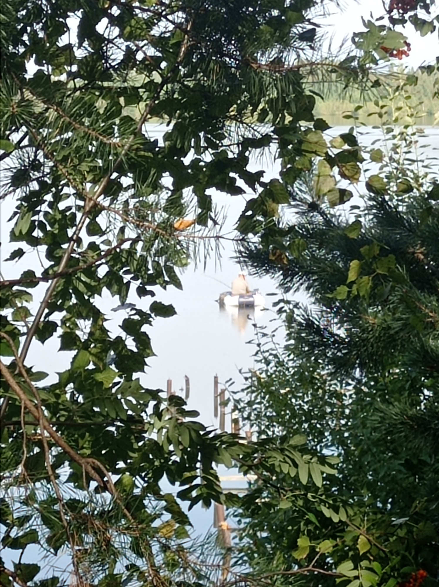 A person is fishing from a small inflatable boat on a body of water. The boat is white with a person wearing a light-colored shirt and dark pants. The surrounding environment is dense with green foliage, including trees and bushes, with some branches and leaves obscuring the view of the water and the distant shore. The water appears calm and reflects the sky. The presence of what looks like cell towers in the background suggests a semi-urban or suburban setting. Given the details visible and common photographic subjects in Degtyarsk, Russia, this scene is likely a lake or river within or near the city's recreational areas.