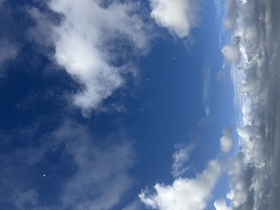The image depicts an expansive view of a partly cloudy sky over Vila Nova de Gaia, Portugal. The upper two-thirds of the frame are dominated by a clear, deep blue sky, while the lower third features denser, grey and white cumulus clouds. White, fluffy cumulus clouds are also scattered across the blue sky, particularly in the upper-left and upper-right quadrants. Ten small, light-colored avian subjects are observed in various stages of flight across the upper and middle portions of the blue sky. These subjects are indistinct in detail but appear as birds, with one more clearly defined in the upper-left quadrant and another in the upper-right. No other subjects or objects are visible.