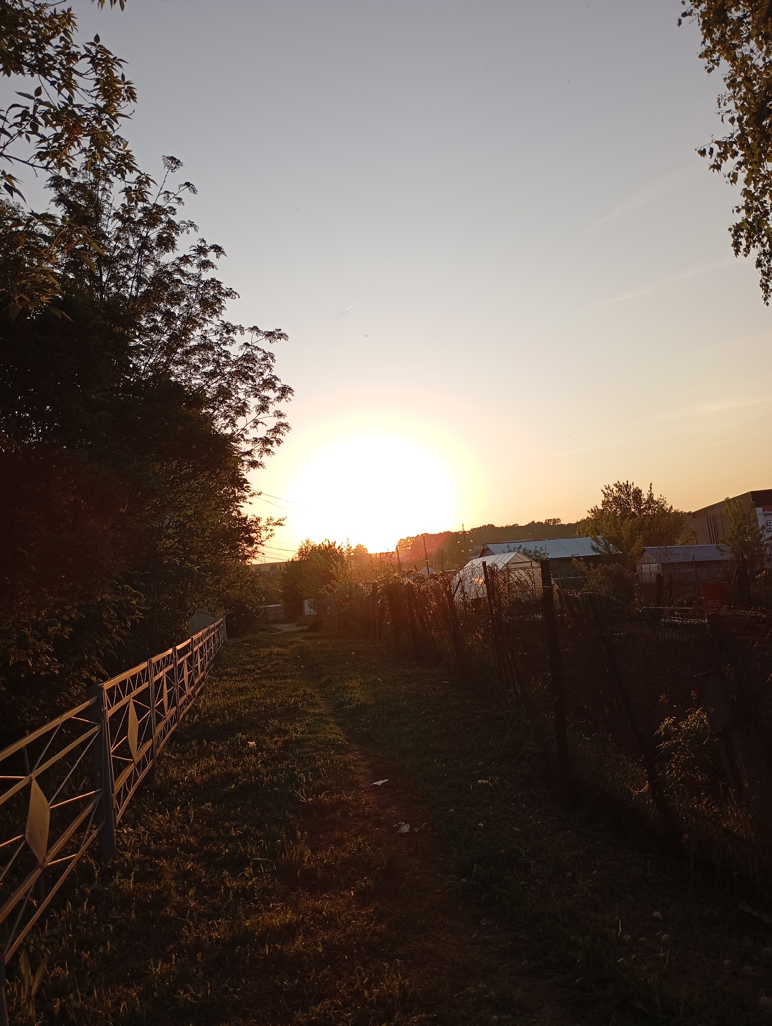 The image shows a landscape at sunset in an area with trees, a fence, and vegetation. The sun is low on the horizon, creating a bright, central focal point and casting shadows across the scene. On the left is a metal fence that appears to be bordering a grassy area or pathway. Trees and bushes line the left side of the pathway, while on the right, a more rugged fence runs along a similar pathway. Beyond the pathway and the fence on the right, there are structures that could be greenhouses or small buildings. The environment appears to be a rural or suburban area with an abundance of plant life.