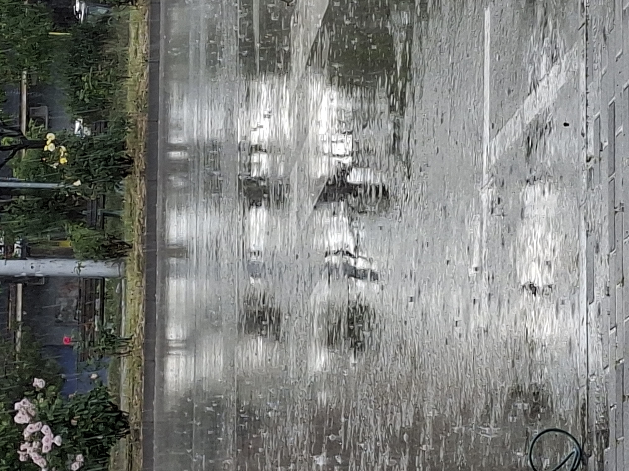 The image shows a street scene obscured by heavy rain. On the left, there is greenery, possibly a park or garden, with flowers visible. The middle portion of the image shows a street with cars indistinctly visible through the rain-streaked lens. On the right, a paved sidewalk with brick texture is present. The scene is likely in an urban area, possibly the city of Plovdiv, Bulgaria. No people are clearly visible due to the heavy rain obscuring the view.