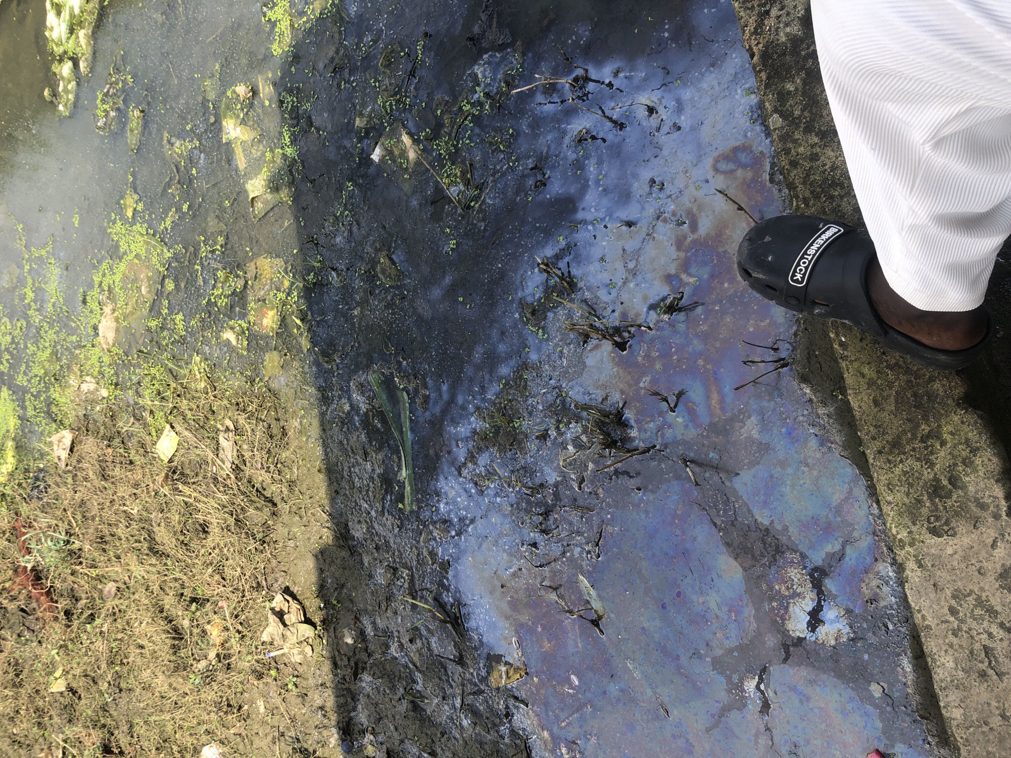 This image depicts an outdoor scene in Ado, Nigeria, characterized by pollution in a body of water. The water's surface is covered with an iridescent oil slick, displaying various colors like purple, blue, and yellow, interspersed with dark, murky patches. Debris, including what appears to be plastic waste and natural vegetation, is visible both in the water and on the adjacent muddy bank. The bank itself is covered with dry grass, mud, and scattered pieces of trash. In the foreground, a person's right leg and foot are visible, wearing a black sandal with "BIRKENSTOCK" printed on the side, and white striped pants. The lighting suggests it is daytime, with shadows cast on the water and bank. The overall environment conveys a sense of neglect and environmental contamination.
