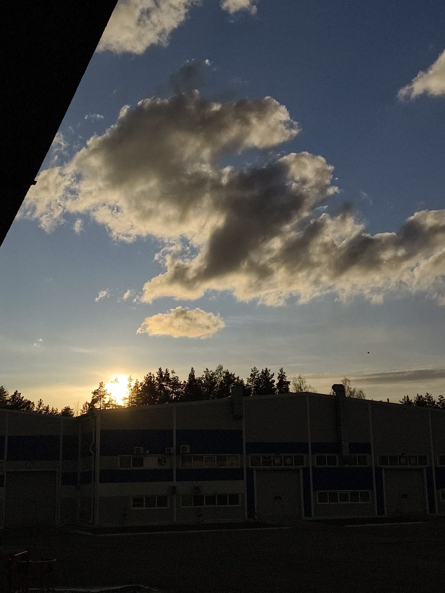 The image captures an outdoor scene at what appears to be sunset or late afternoon in Noviy, Russia. The sky dominates the upper portion, displaying a gradient of blue, transitioning from a deeper hue at the top to a lighter, warmer tone near the horizon. Large, dramatic cumulus clouds, illuminated by the sun, cast soft shadows, indicating depth and texture. A smaller, isolated cloud glows golden near the horizon.
The sun is visible on the lower left, its bright light peeking through a dense line of coniferous trees that form a dark, jagged silhouette against the luminous sky. Below the treeline is a long, low industrial-style building, characterized by its two-tone exterior, featuring dark blue horizontal stripes and lighter grey or off-white panels. The building has numerous garage-like doors, small rectangular windows, and several air conditioning units mounted on its facade. The structure appears to be functional and utilitarian.
The foreground is heavily shadowed, appearing almost black, obscuring any detailed features of the ground or immediate surroundings of the building. A dark, angular structure partially encroaches from the upper left corner, casting a diagonal shadow over a segment of the sky.
No specific activities or events are actively taking place, presenting a serene and still atmosphere. There is no discernible text visible on the building or elsewhere in the image. The time of day is clearly indicated by the position and warm glow of the sun, casting long shadows and highlighting the clouds.
