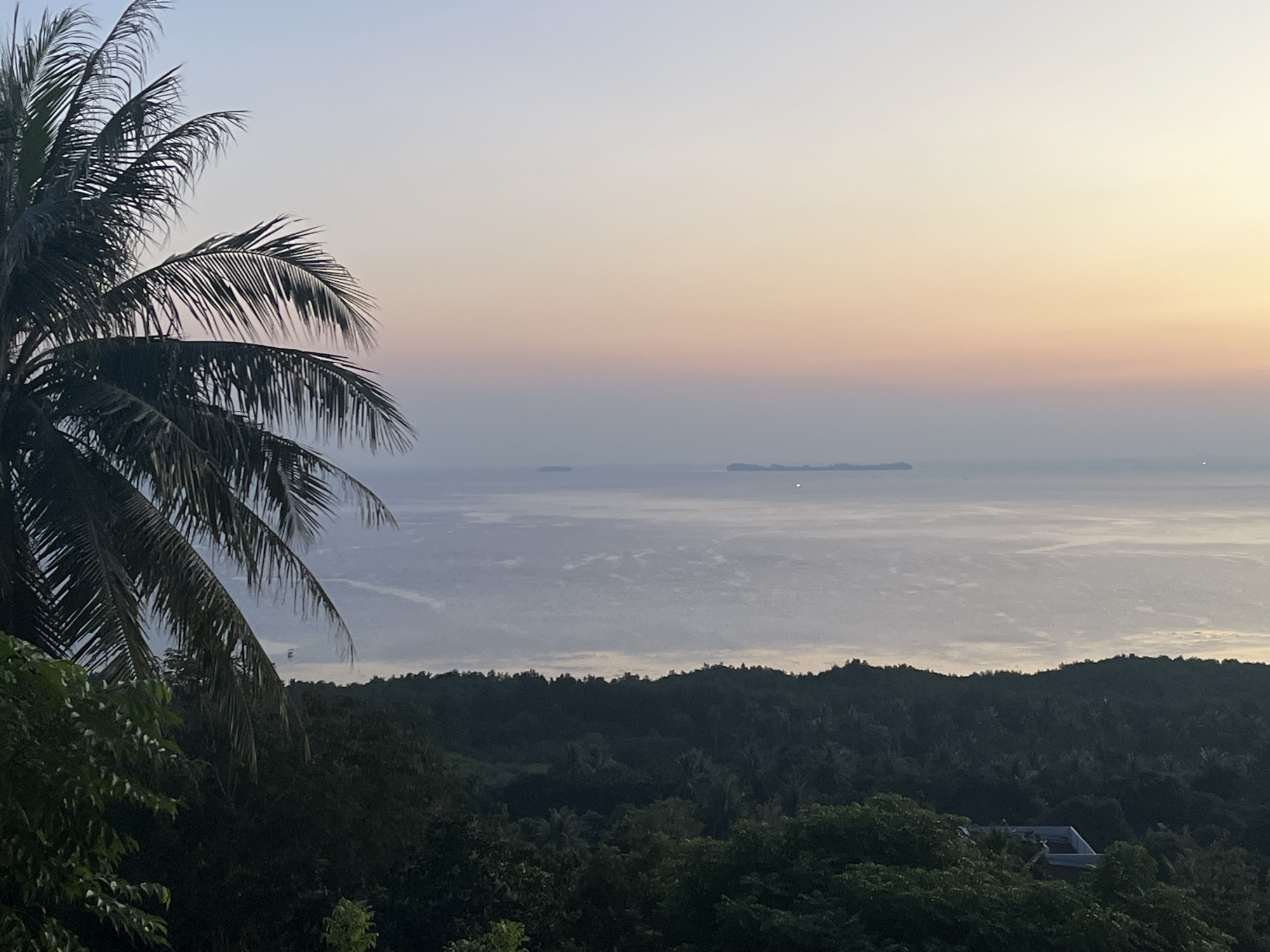 A scenic view captures a tranquil tropical landscape at dusk. In the foreground, a palm tree's fronds cast shadows, hinting at the lush vegetation that blankets the rolling hills. Beyond the dense foliage, a calm sea stretches to the horizon, its surface reflecting the soft hues of the fading light. Distant islands are visible as dark silhouettes against the pastel sky, painted with gradients of pale blue, pink, and orange. A few faint clouds drift across the water, adding texture to the serene scene. The overall atmosphere is peaceful and serene, evoking a sense of calm and natural beauty. The time of day is clearly sunset or twilight, indicated by the soft, diffused light and the color palette of the sky. The location cues, such as the palm tree and the island archipelago, suggest a tropical coastal setting. There is no visible text in the image.