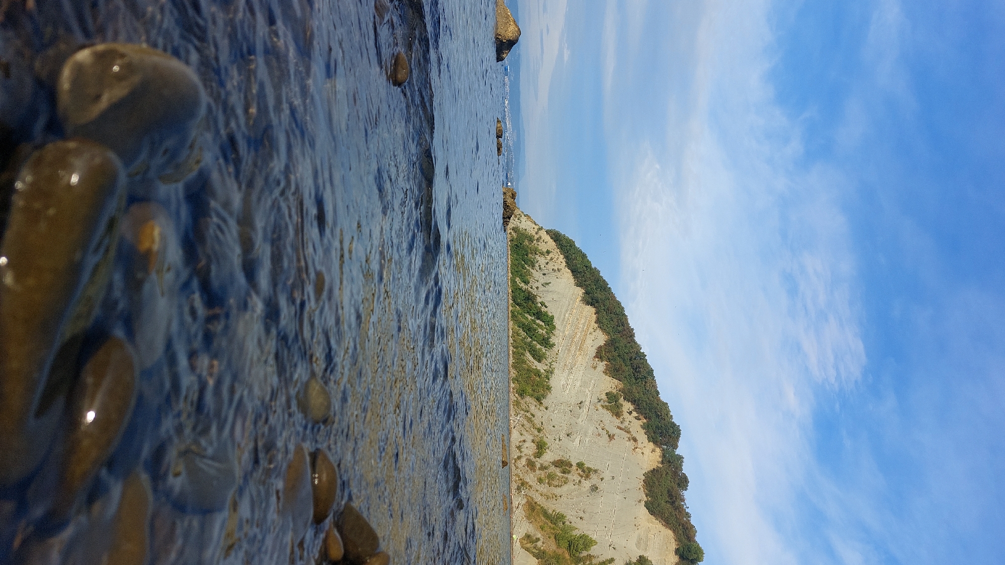 The image shows a view of the sea and the cliff at Strunjan in Slovenia. In the foreground, the shallow water is clear and reveals numerous smooth, dark pebbles and rocks submerged in it. The water surface is slightly rippled, with some reflections visible. In the mid-ground, the calm sea extends towards the shore. Several larger rocks are partially visible in the water. Further back, a dramatic cliff face dominates the scene. The cliff is layered, with strata of grey rock exposed, and is covered in dense green vegetation, primarily trees, on its upper slopes. The sky above is a bright blue with scattered white, wispy clouds. In the distance, the hazy outline of a coastline and possibly a town can be discerned. The overall scene depicts a natural coastal landscape under a clear sky.